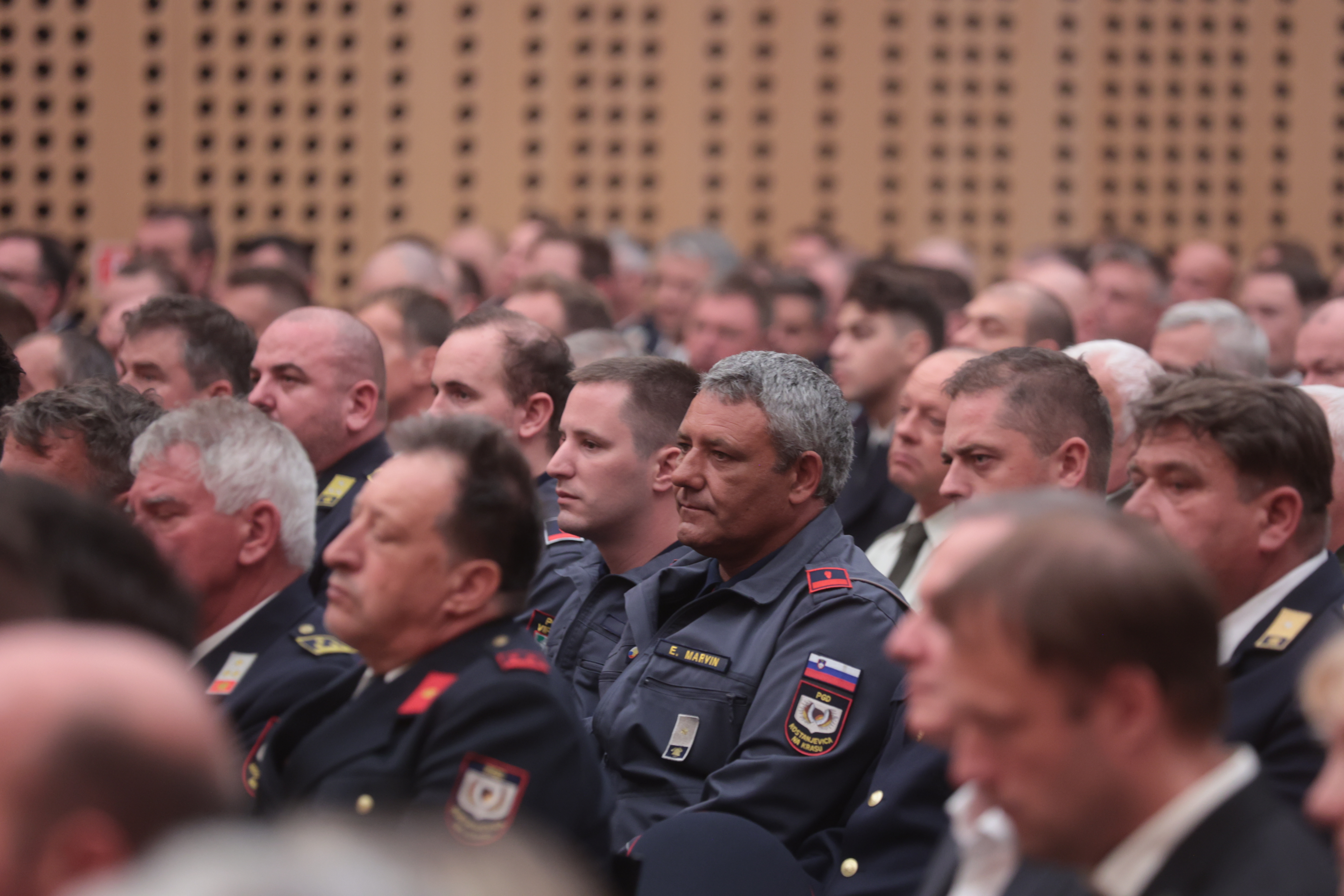 Borut Živulovič/BOBO