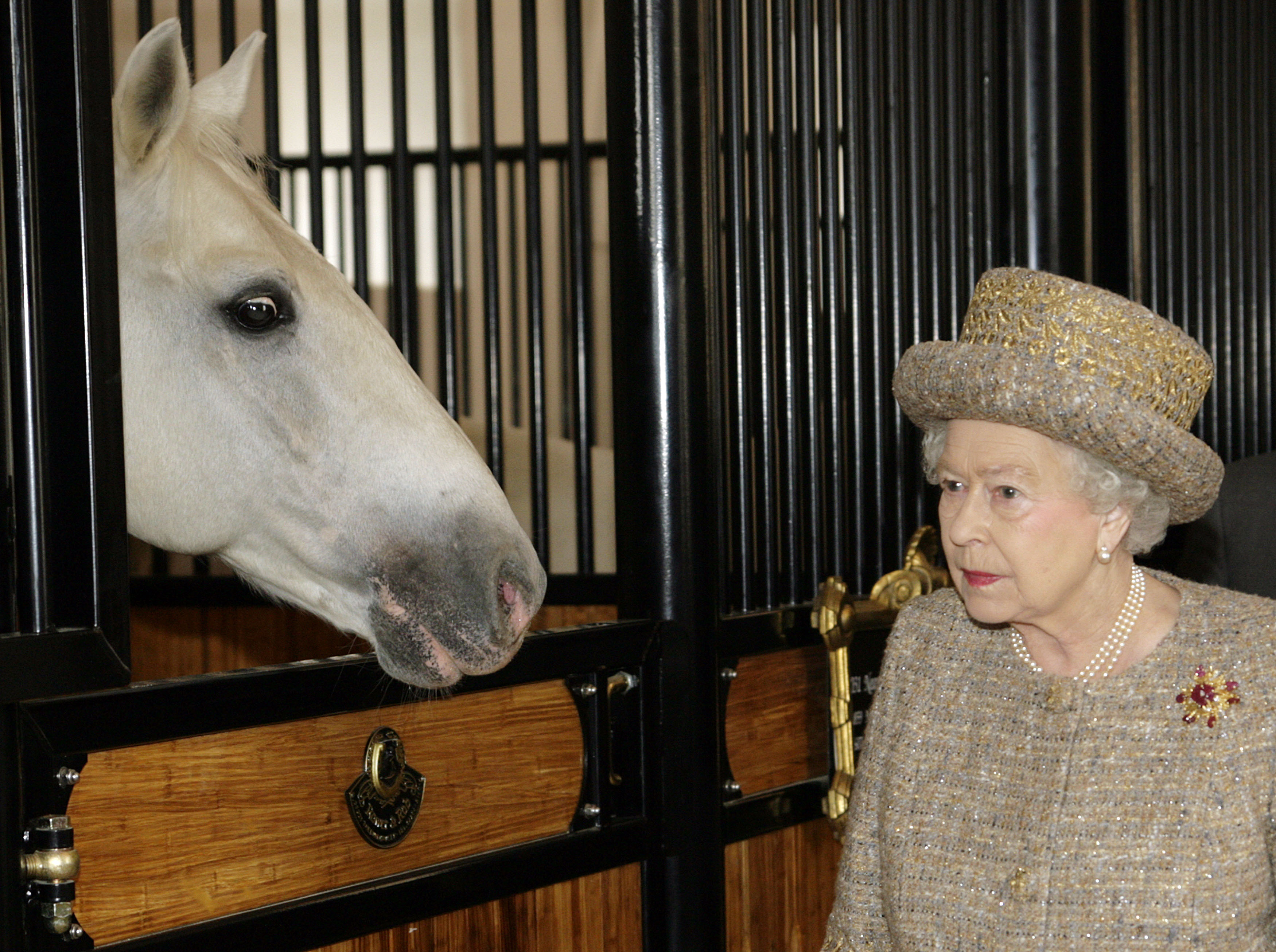 Kraljica Elizabeta II. si ogleduje lipicance med njenim obiskom v kobilarni Lipica. (Foto: Srdjan Živulović/BOBO)