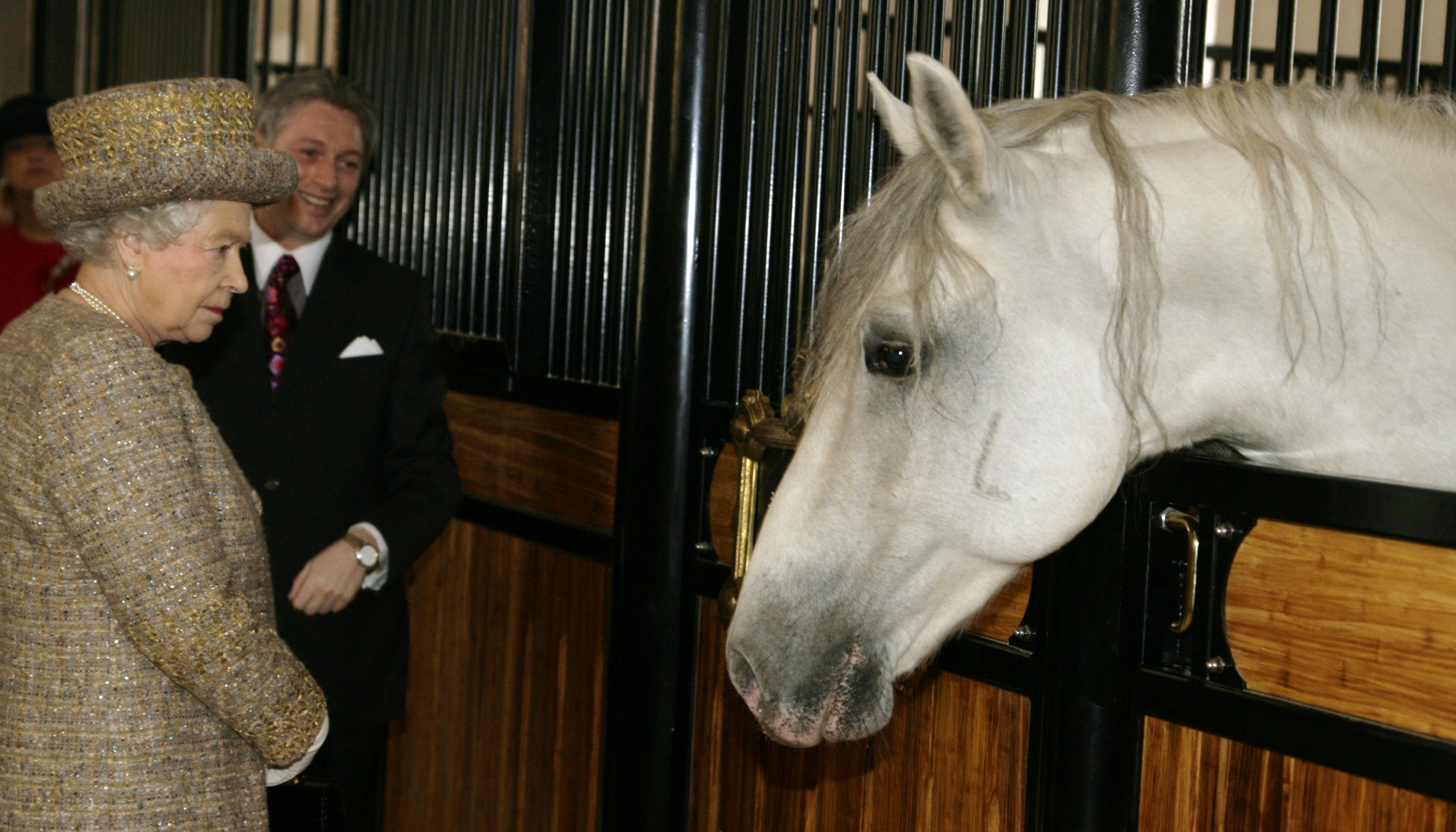 Kraljica Elizabeta II. si ogleduje lipicance med njenim obiskom v kobilarni Lipica. (Foto: Srdjan Živulović/BOBO)