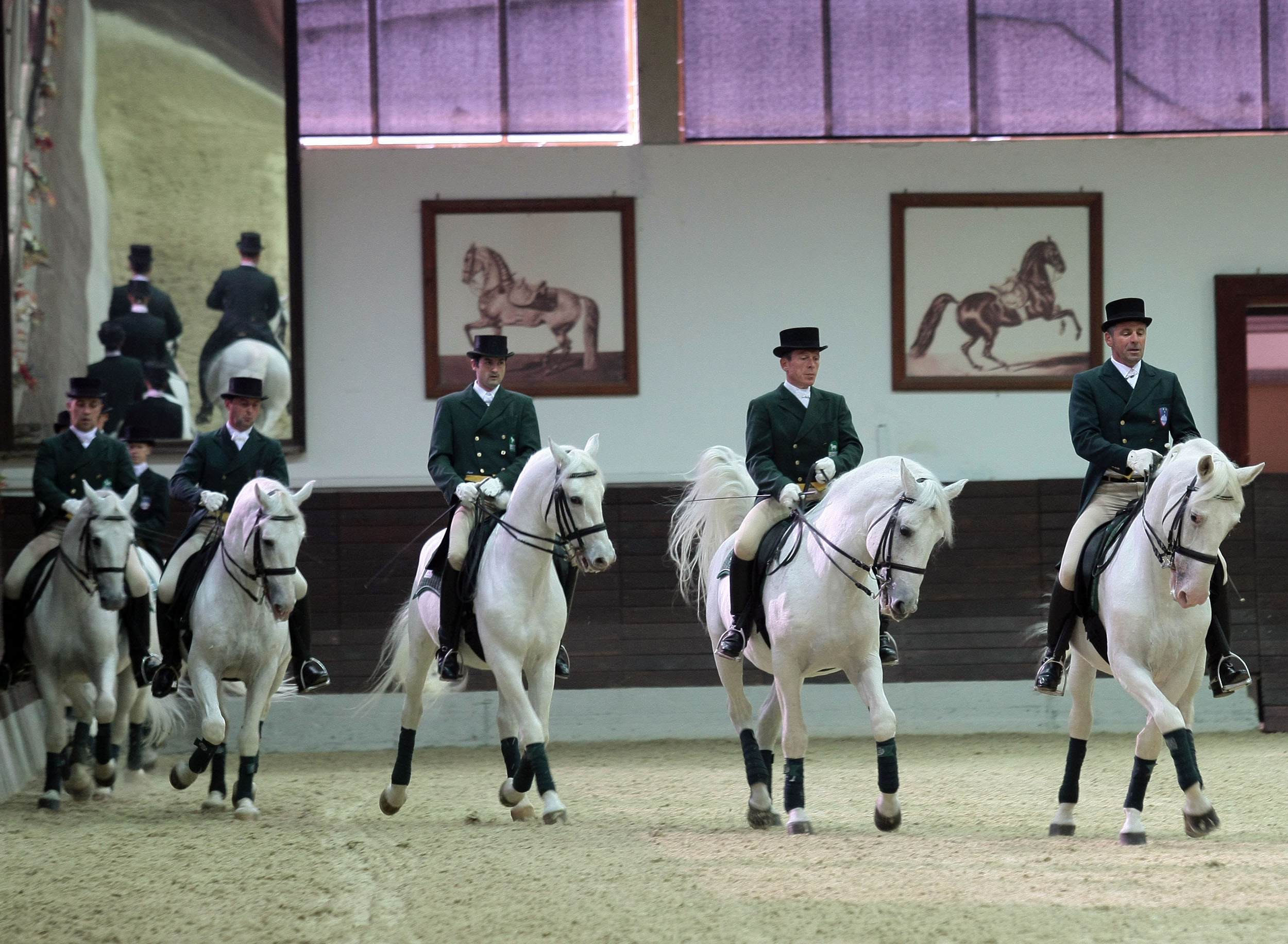 Program lipiške klasične šole jahanja v pokriti jahalnici kobilarne Lipica med obiskom kraljice Elizabete II. v Sloveniji (Foto: Tina Kosec/BOBO)