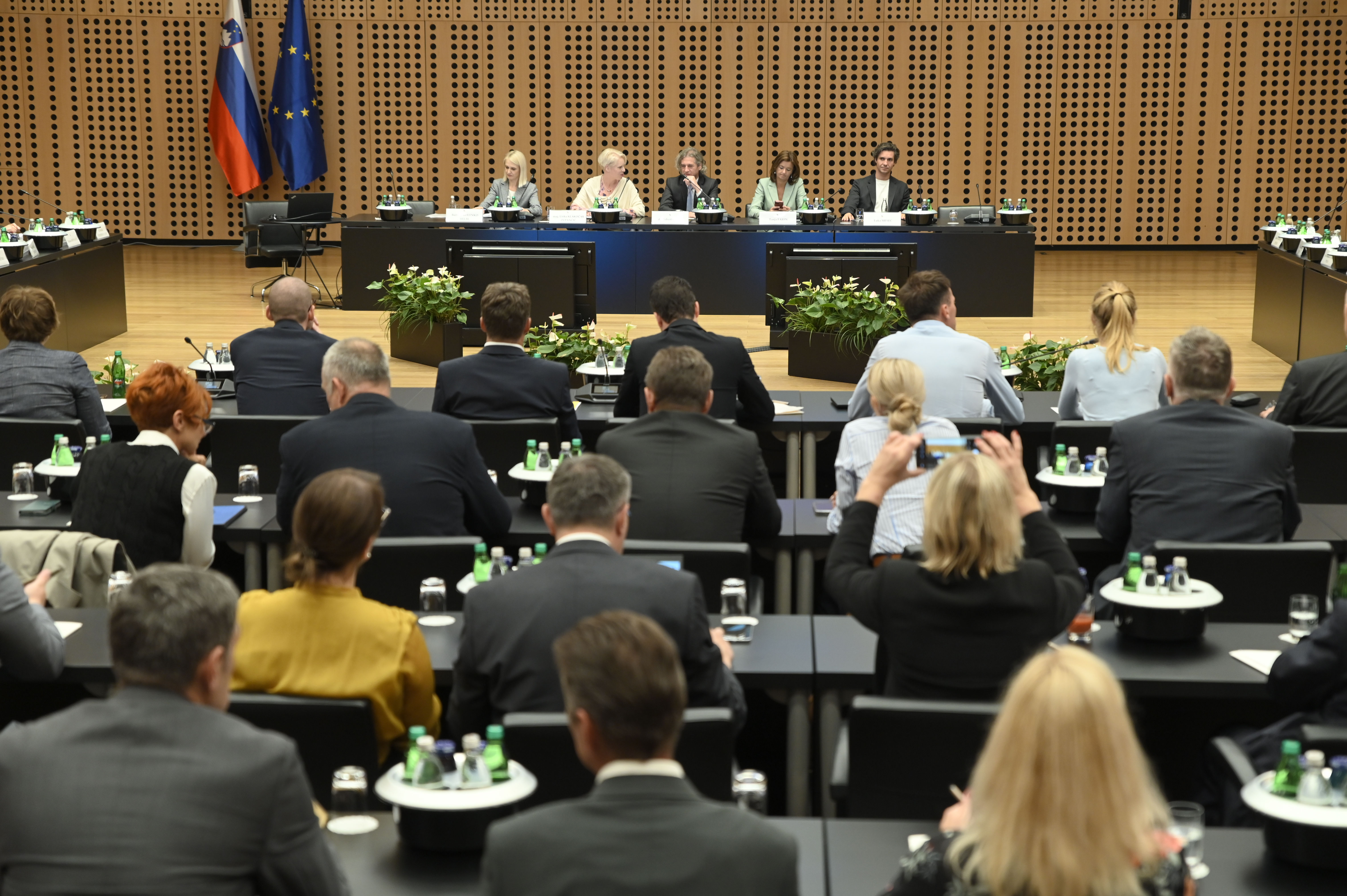 vrh, koalicija, Brdo pri Kranju