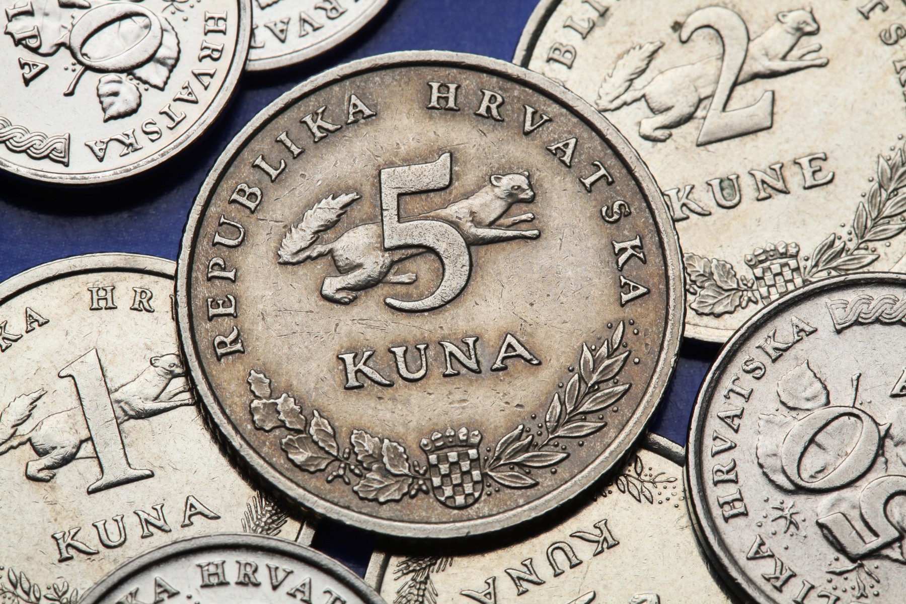 Coins of Croatia. Croatian national coat of arms and marten (Martes martes) depicted in the Croatian five kuna coin.