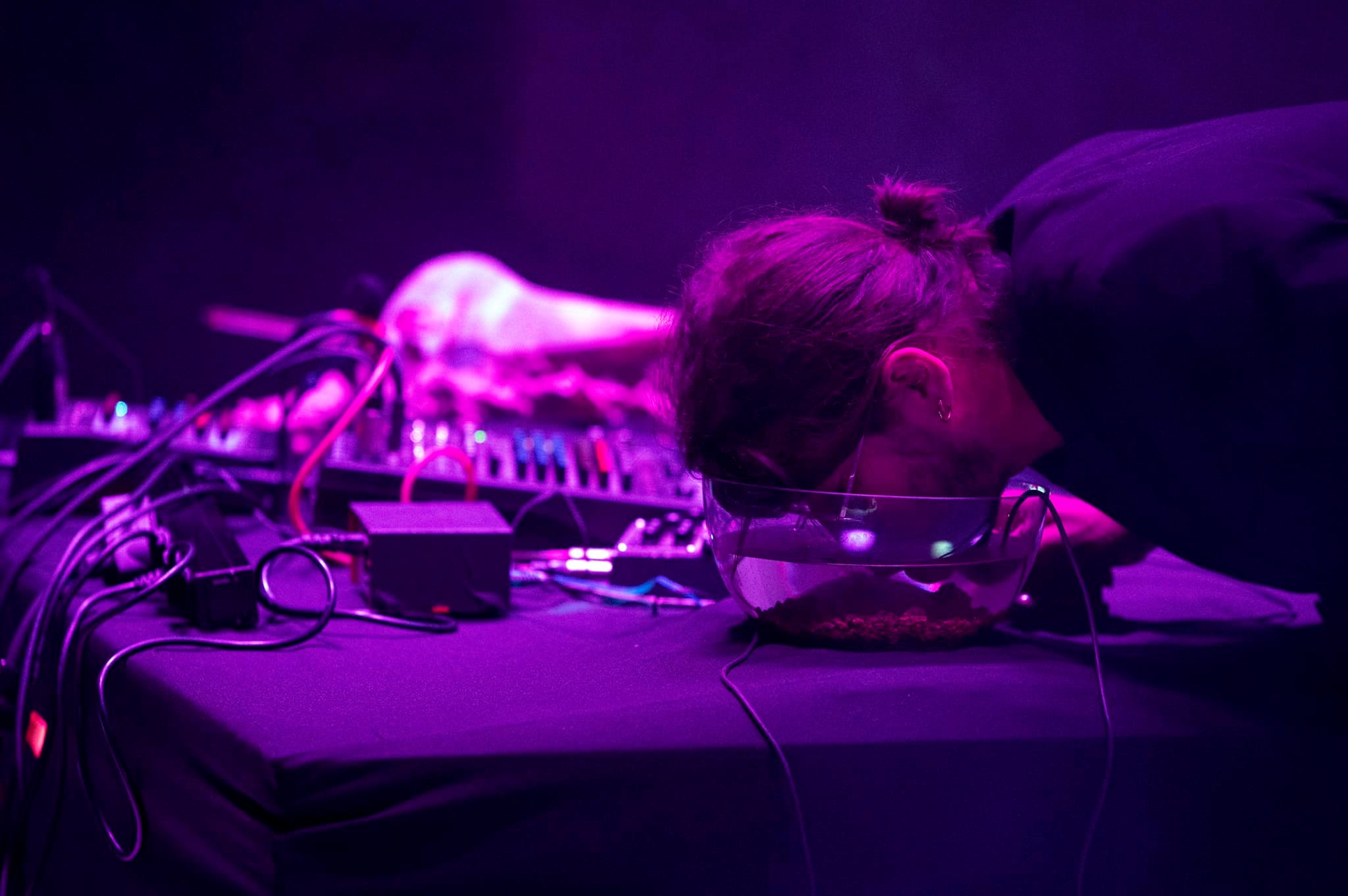 festival Sonica, Sonica