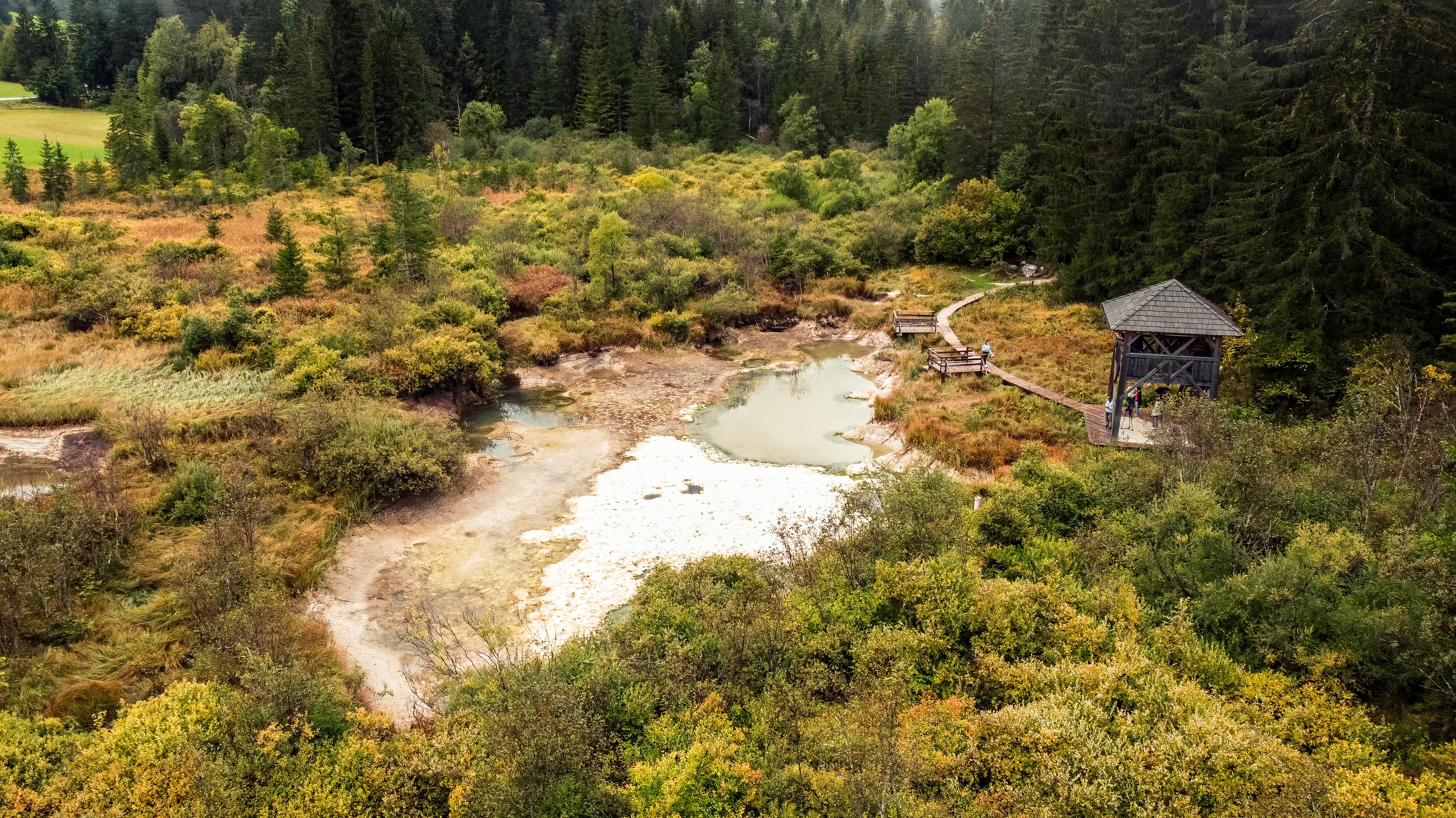 Denis Sadikovič/ N1