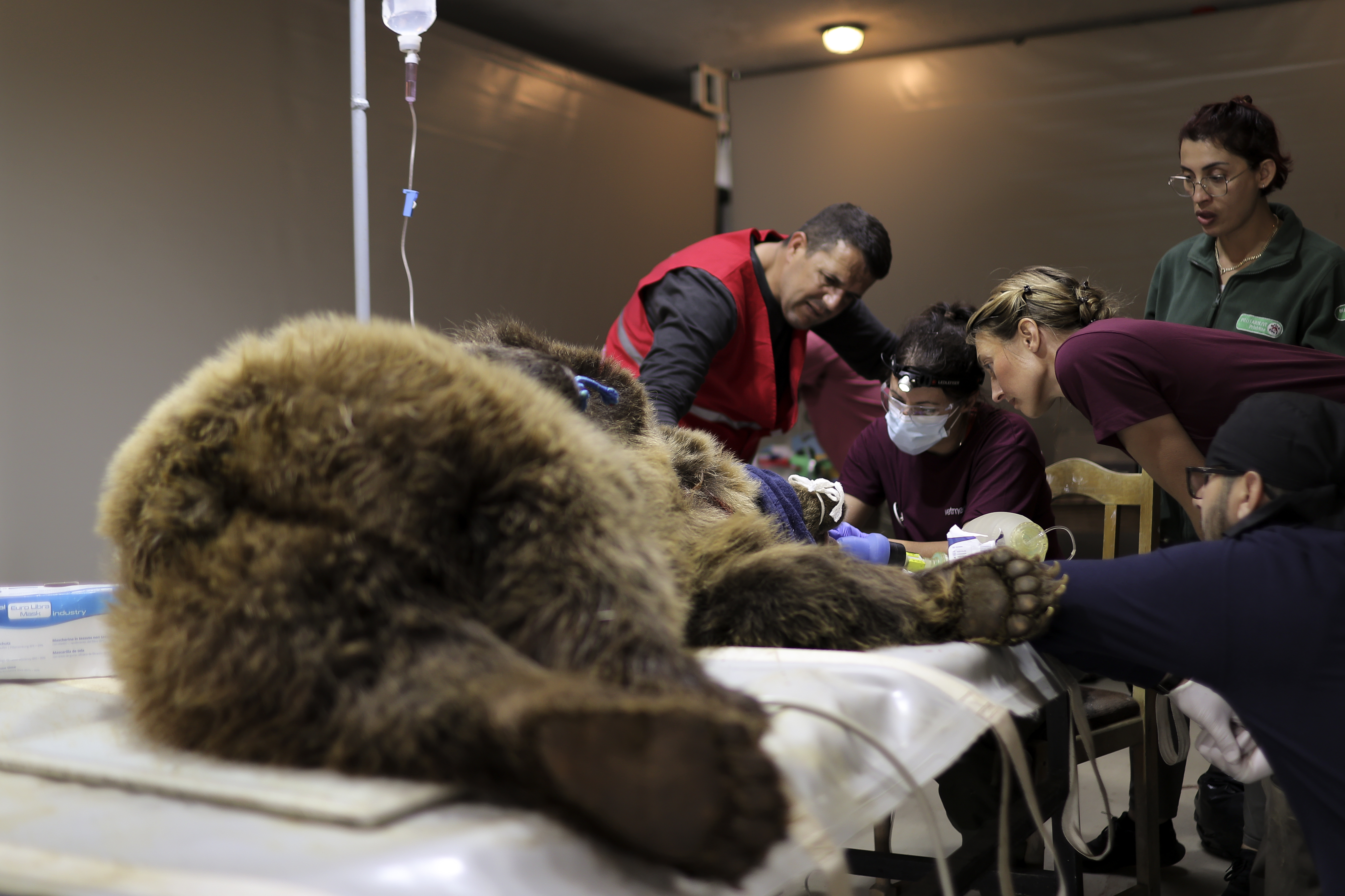 Valdrin Xhemaj/PIXSELL/BOBO