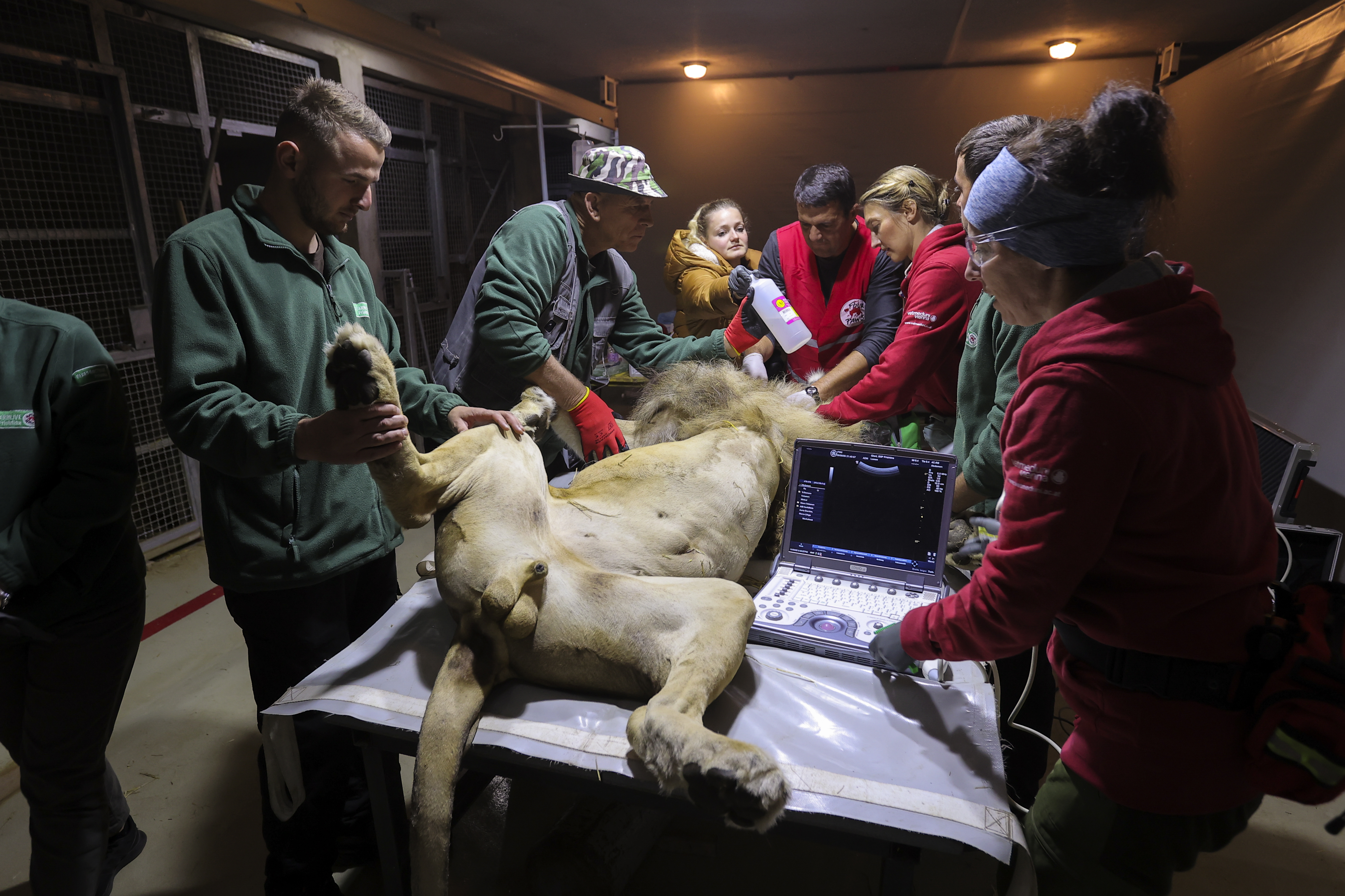 Valdrin Xhemaj/PIXSELL/BOBO