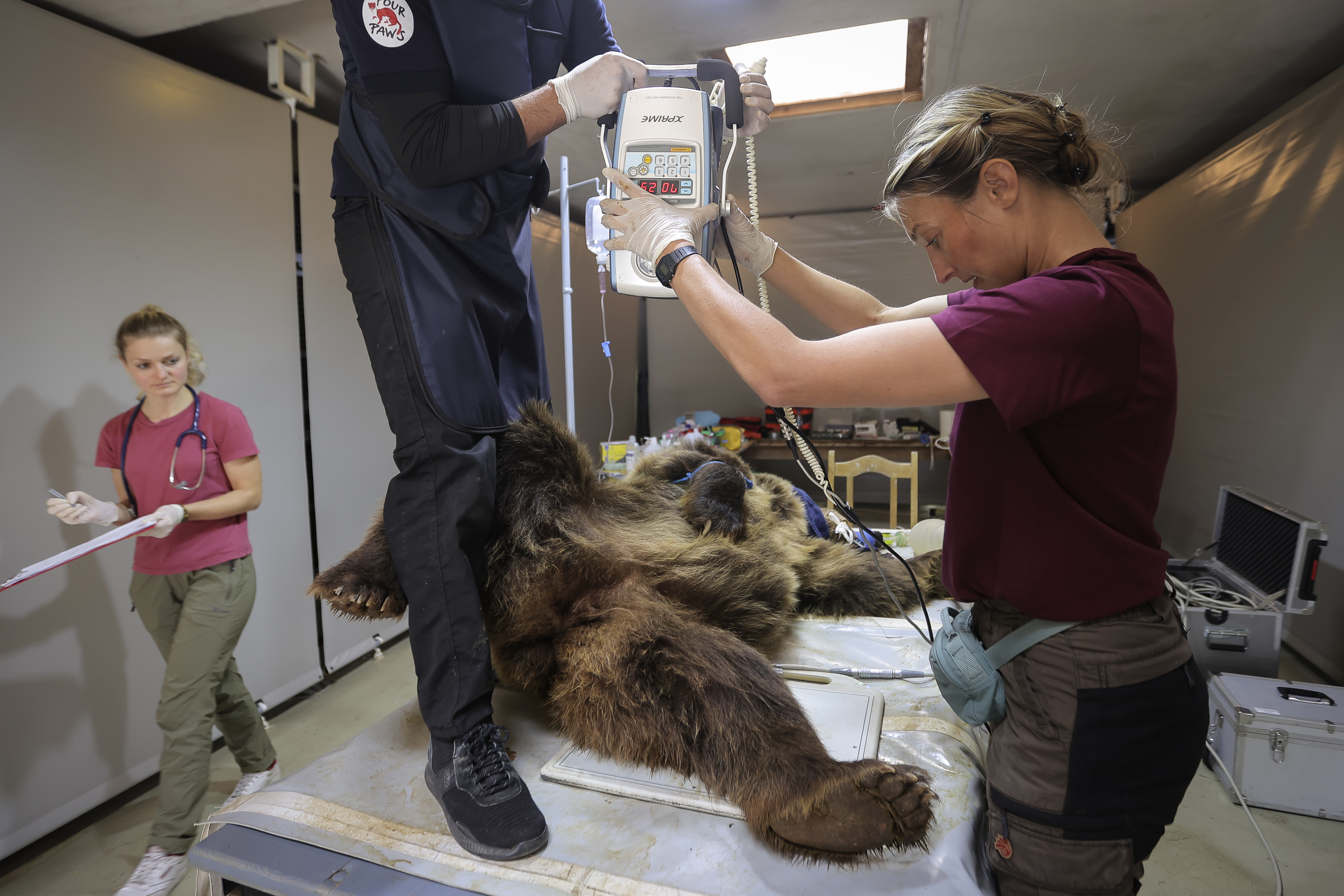 Valdrin Xhemaj/PIXSELL/BOBO