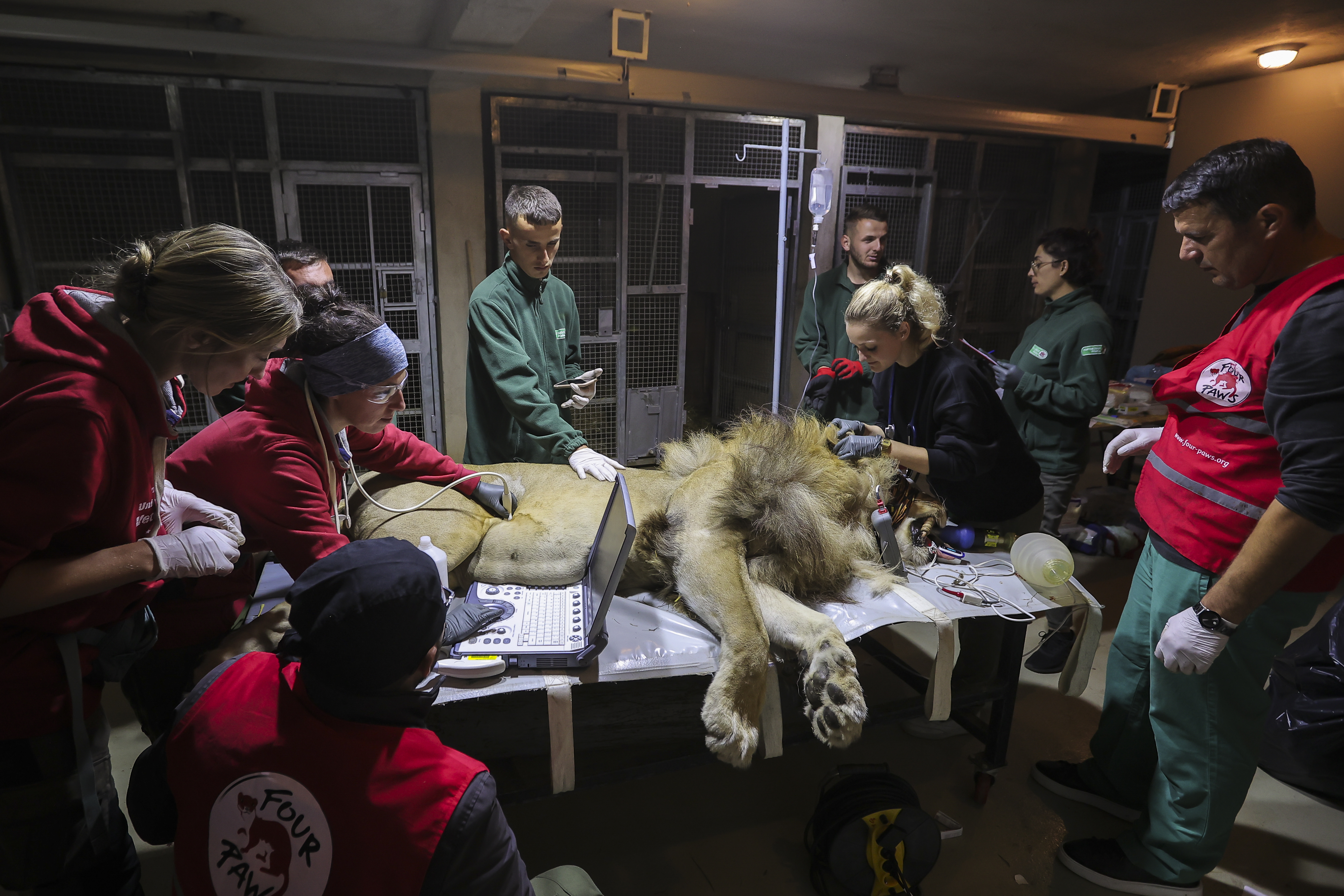 Valdrin Xhemaj/PIXSELL/BOBO