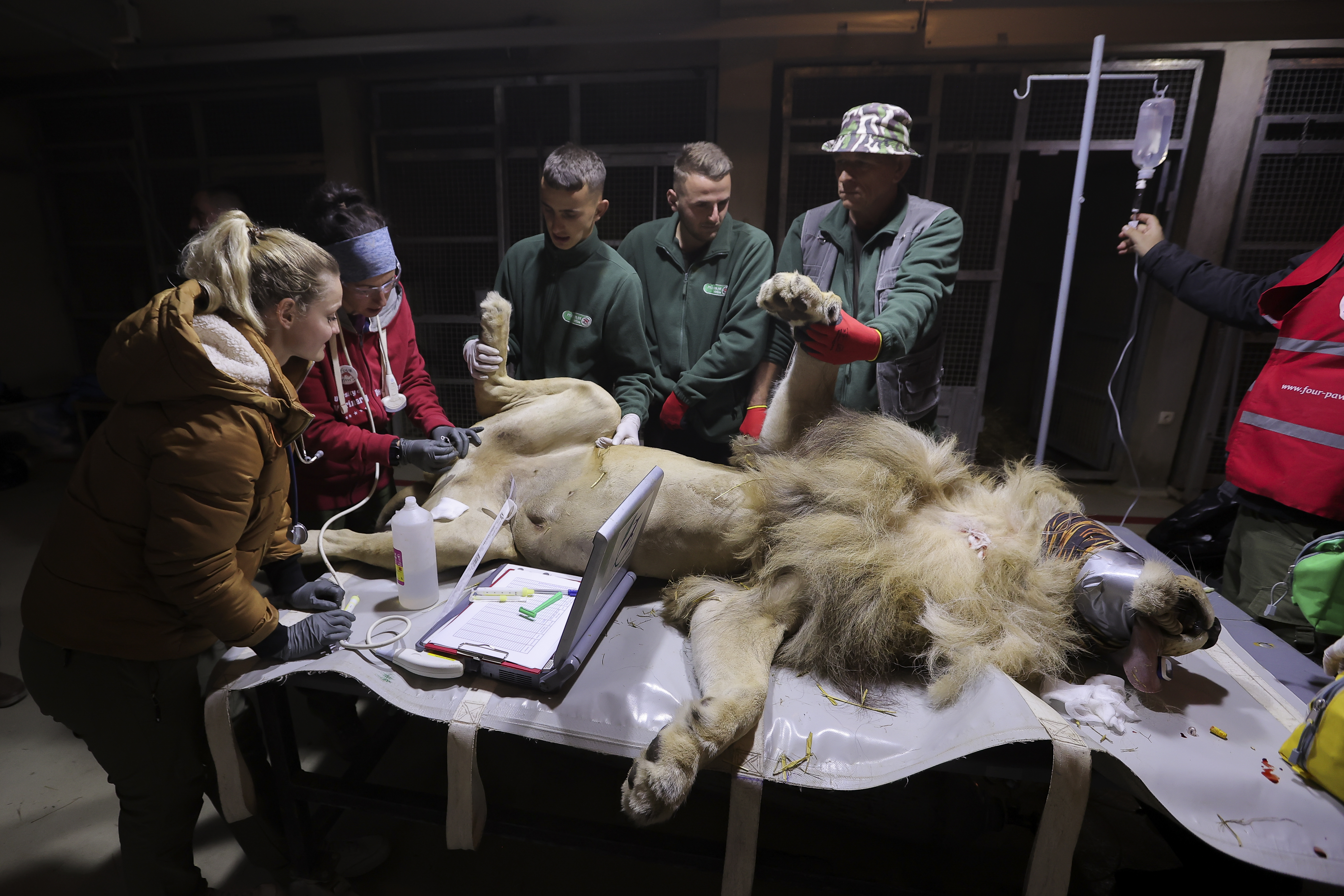 Valdrin Xhemaj/PIXSELL/BOBO