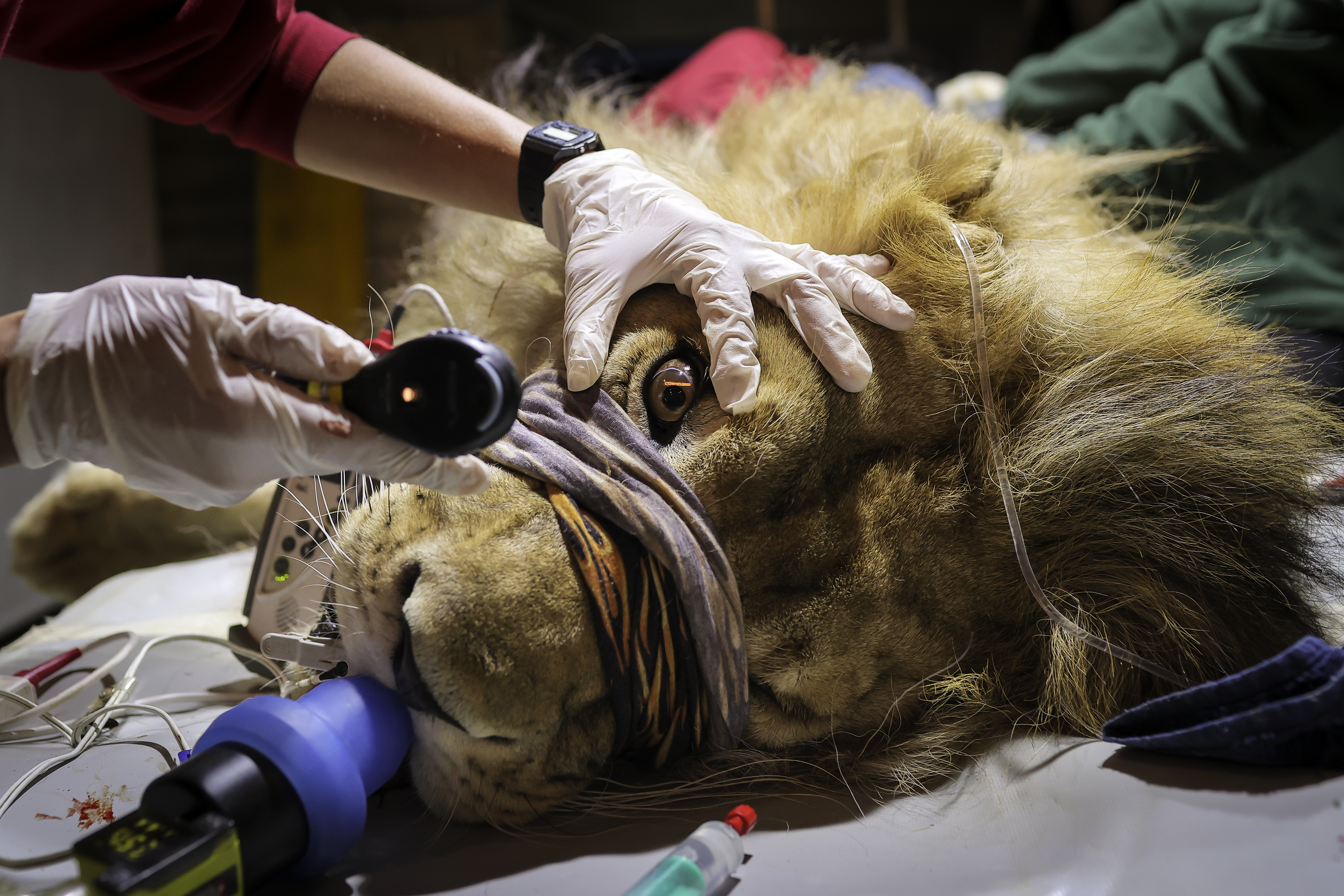 Valdrin Xhemaj/PIXSELL/BOBO