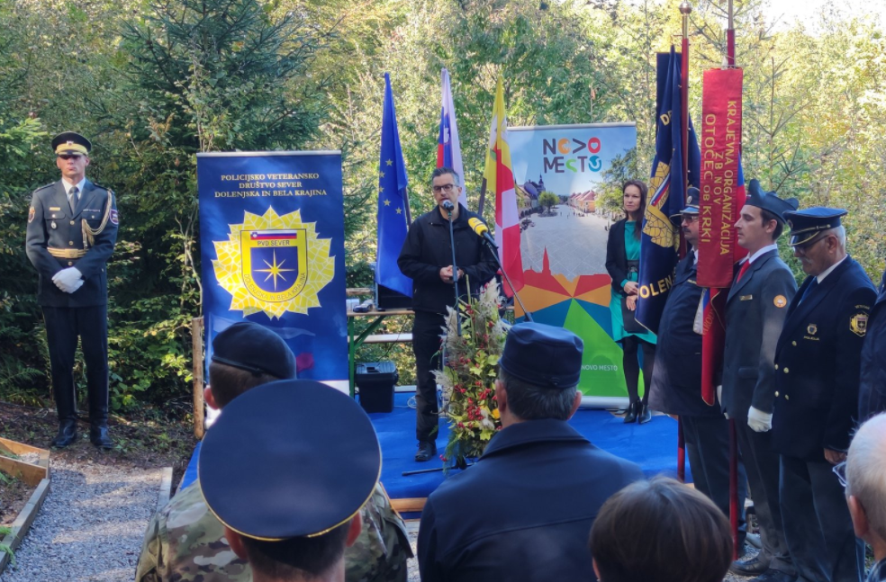 Posnetek zaslona (950)