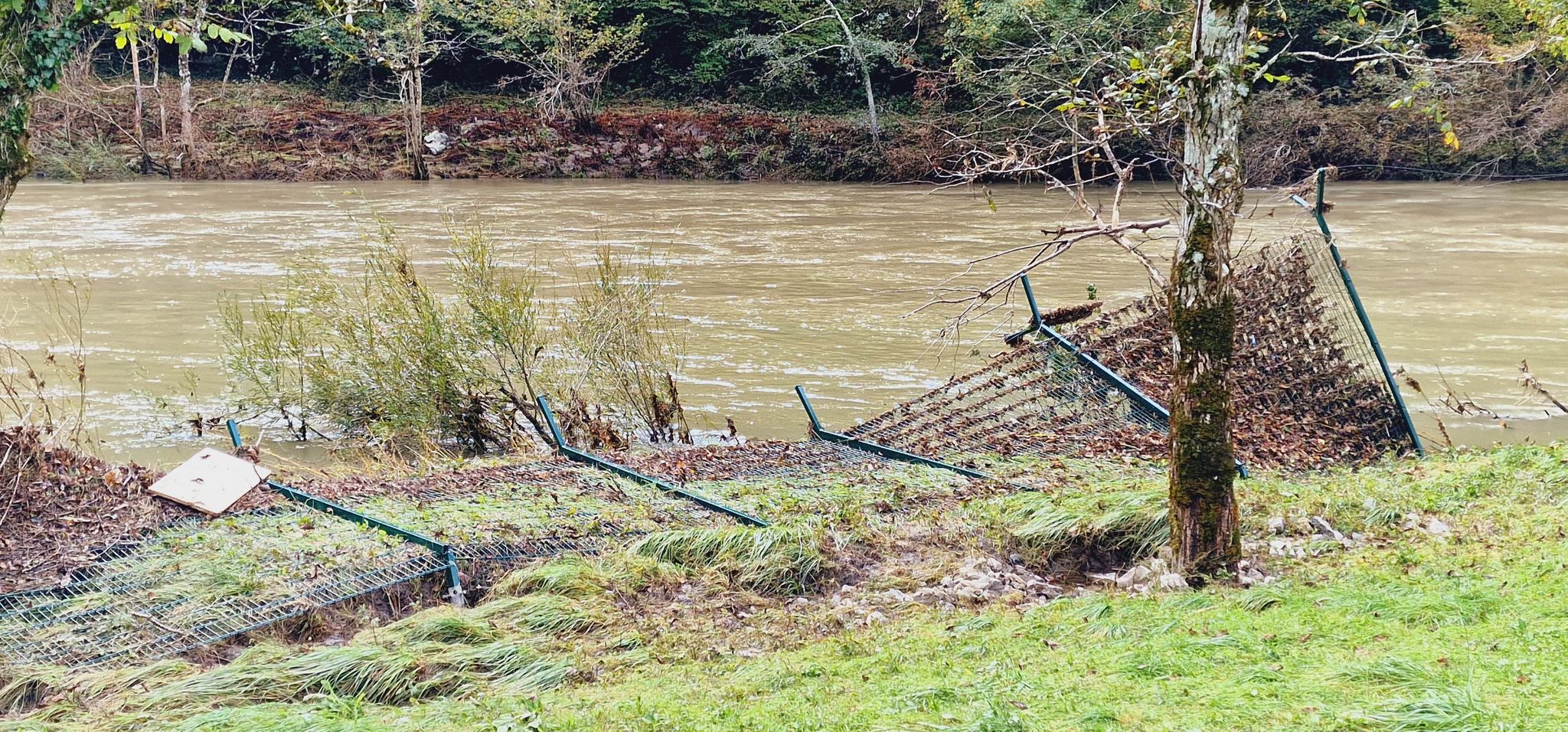 310066290_610778007195075_5432092640094262199_n