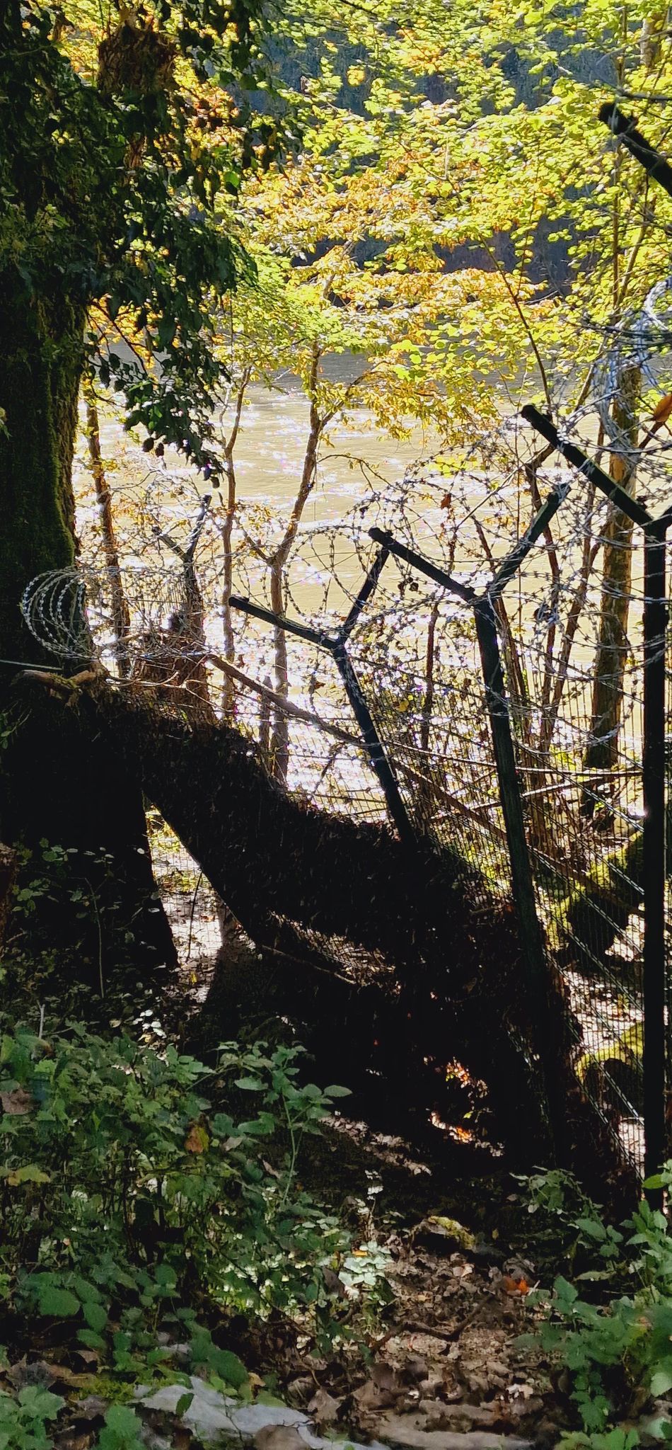 Poljanska dolina ob Kolpi