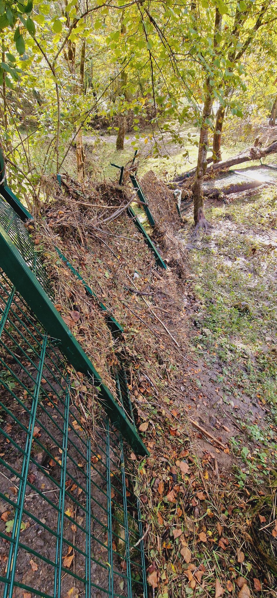 Poljanska dolina ob Kolpi