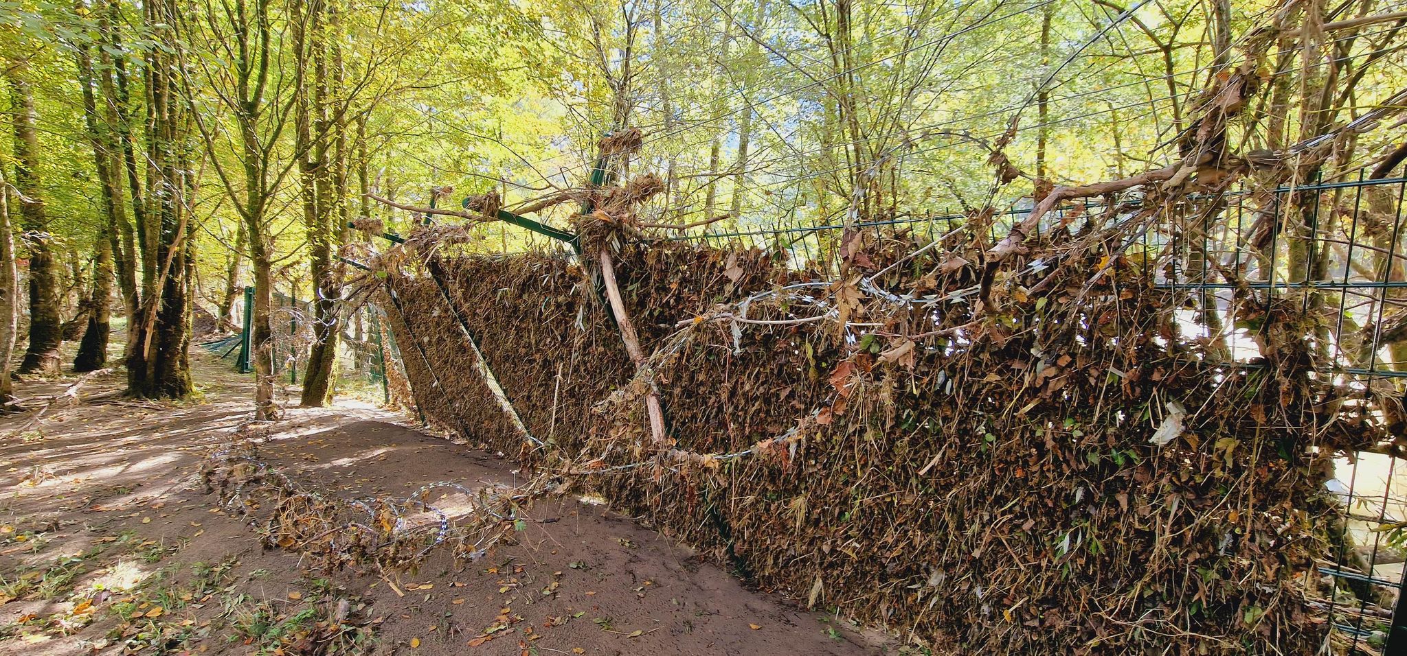 Poljanska dolina ob Kolpi