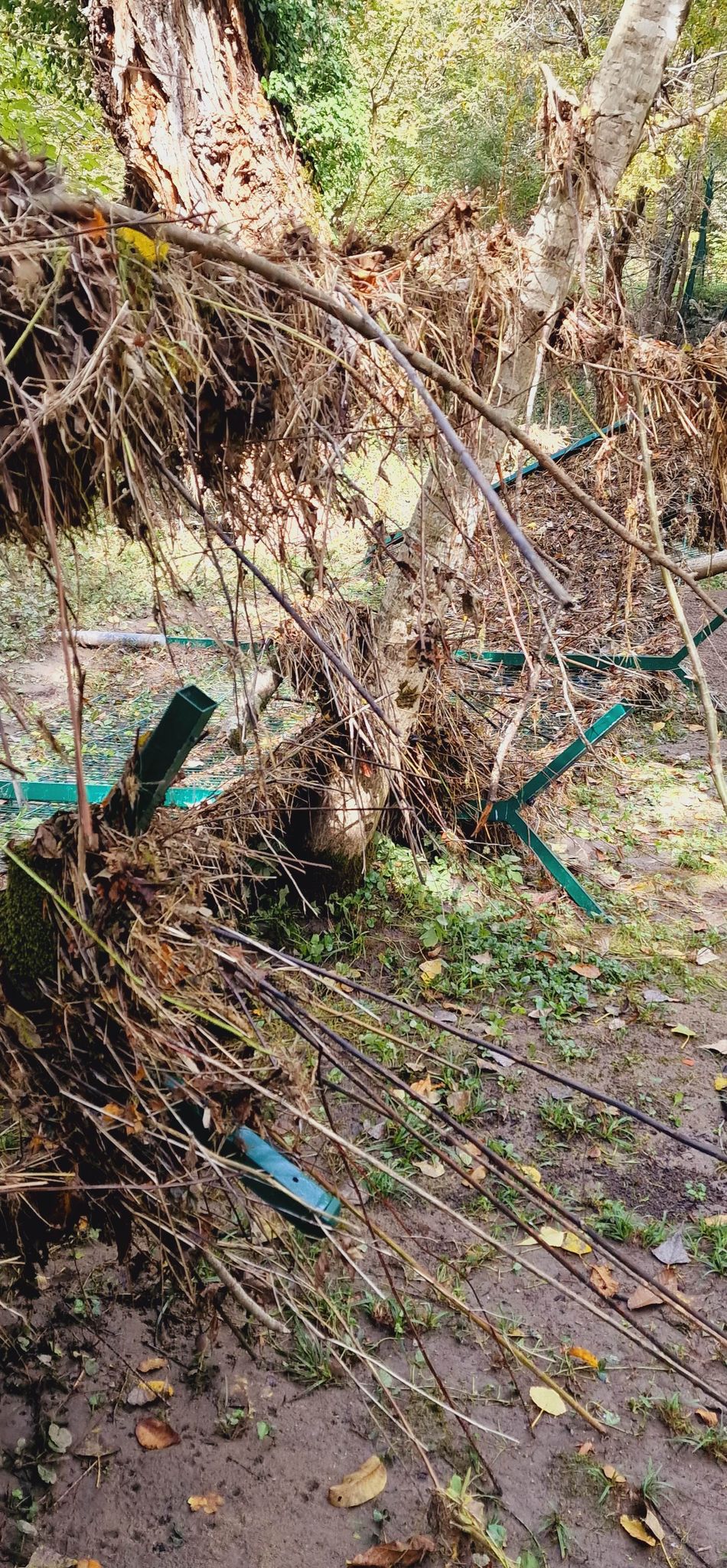 310422490_507515494138327_4614399497806100098_n