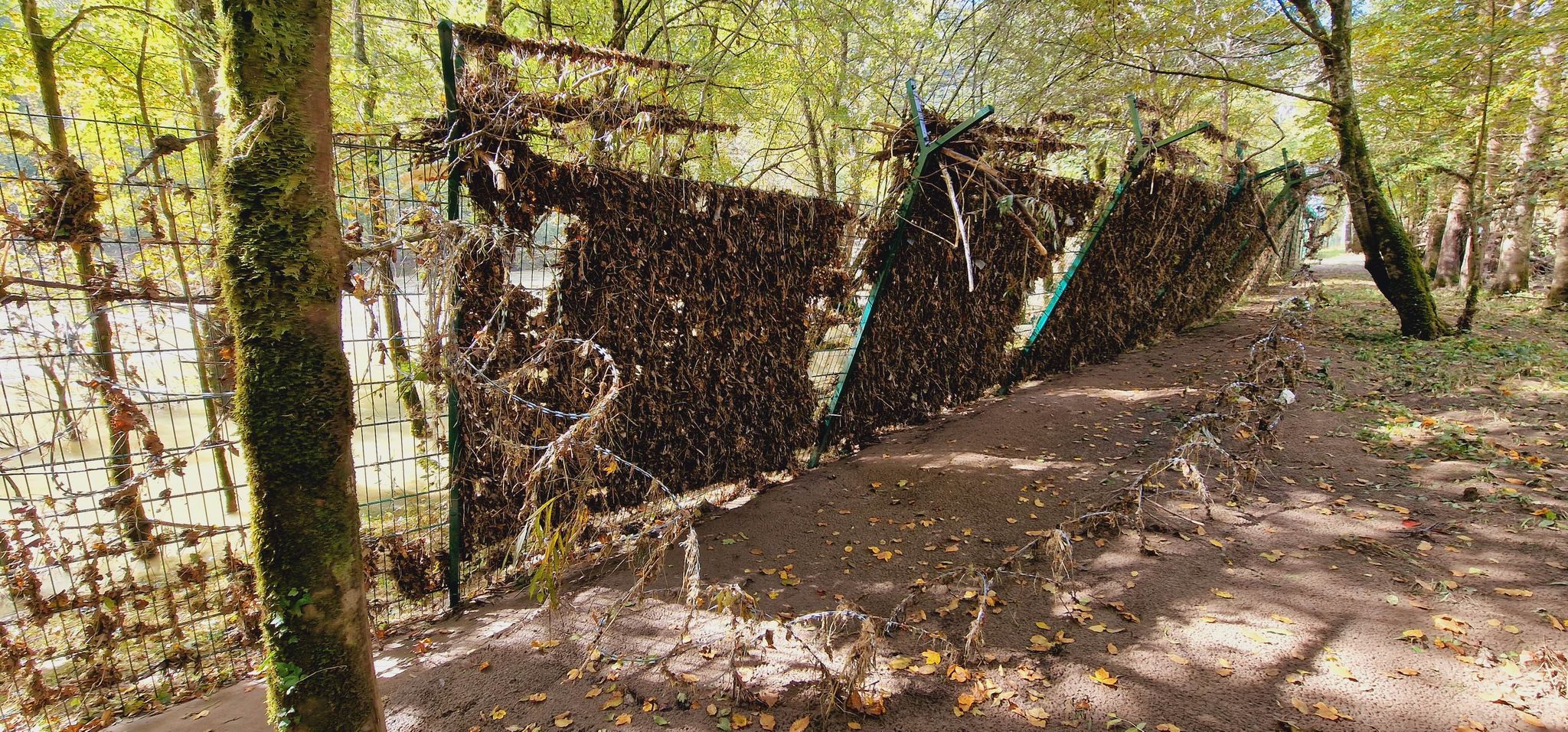 310075118_502722224700147_1067297609820293522_n