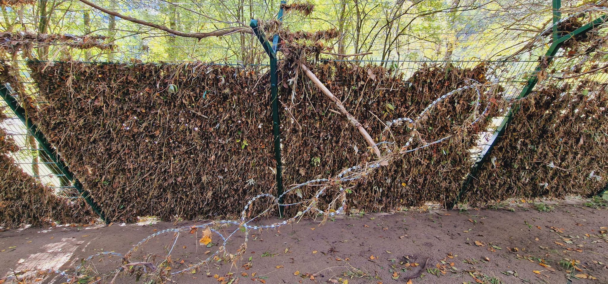 310347975_1101331140743172_6991836390402226596_n