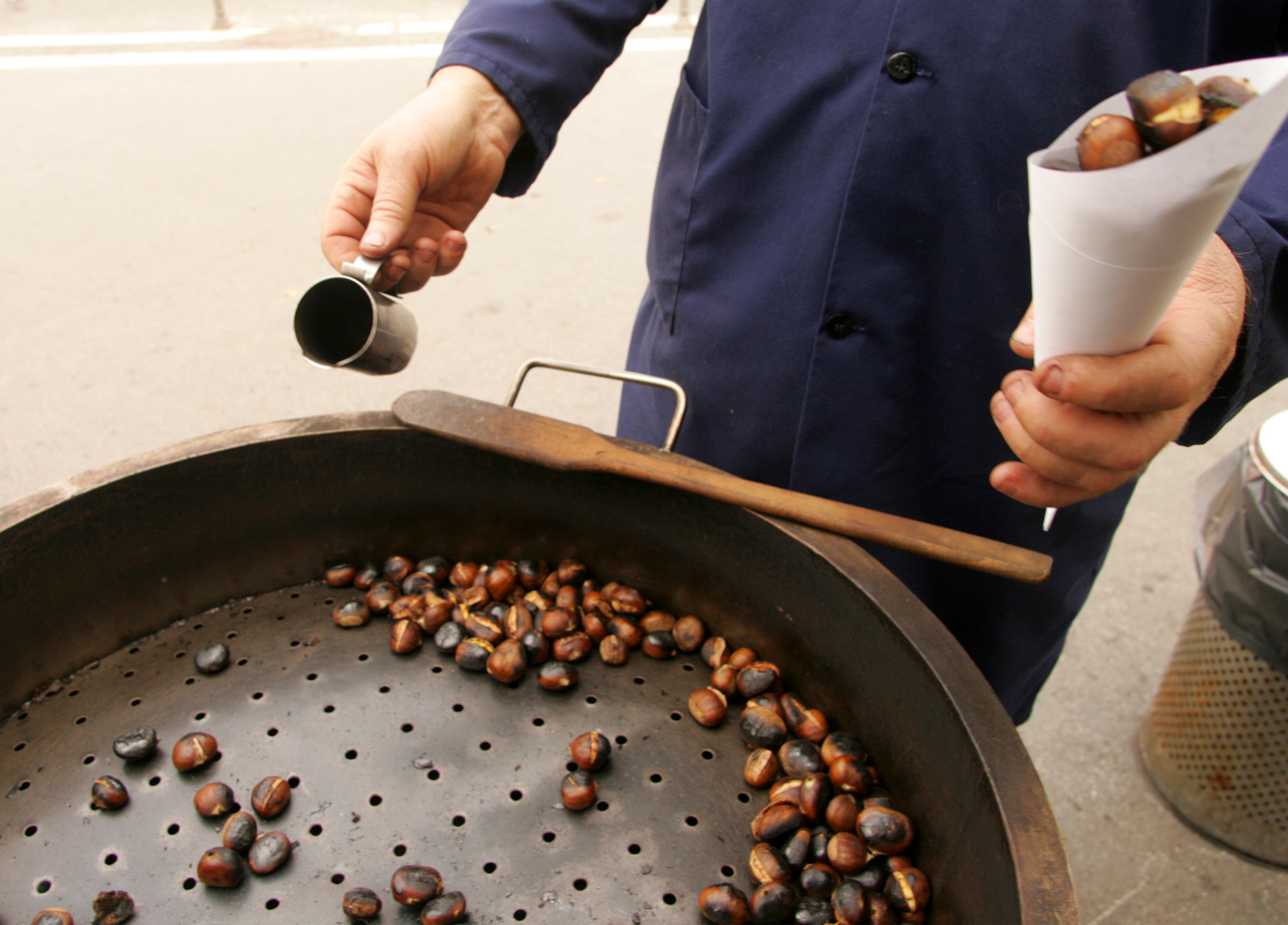 Peka kostanja, kostanj