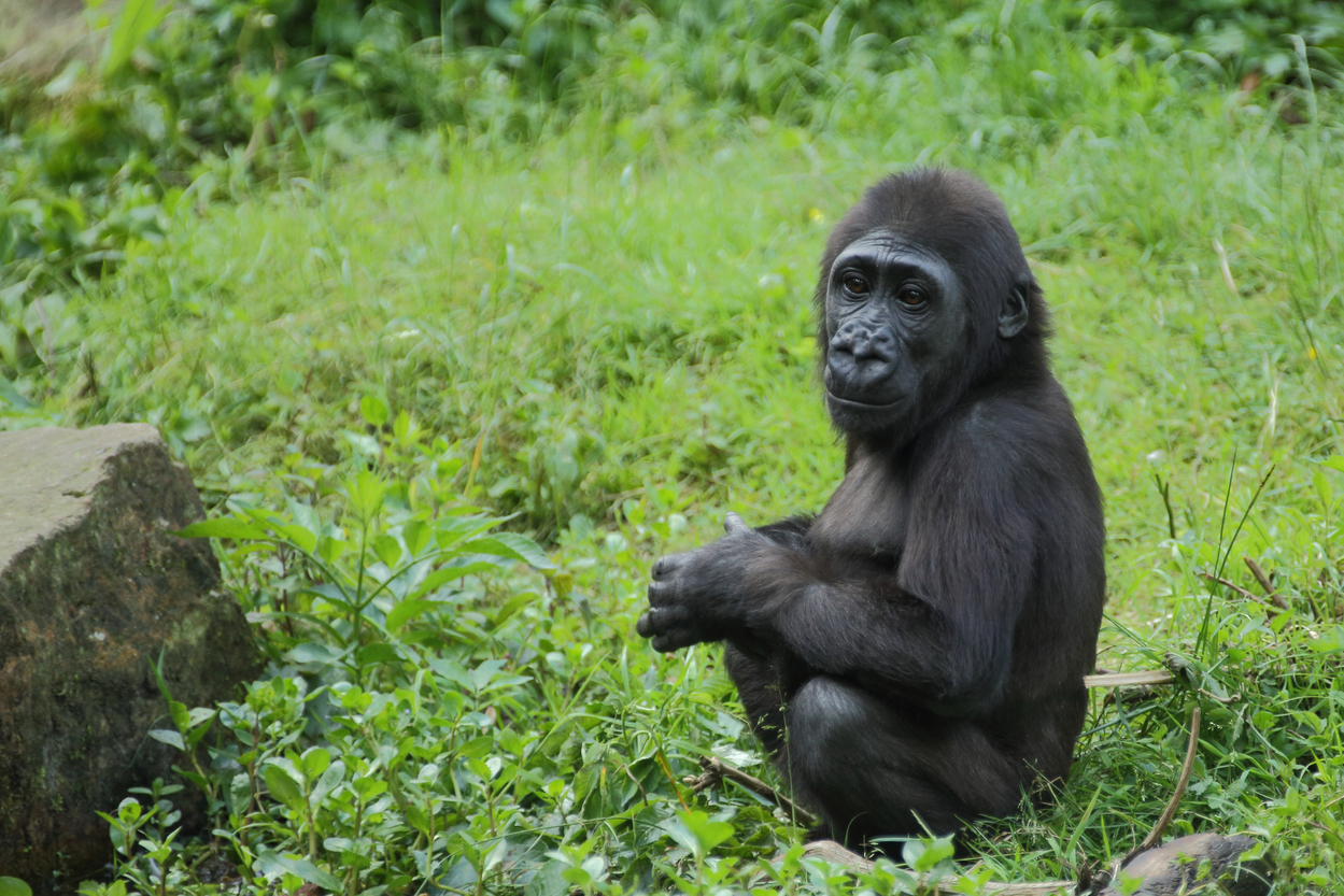 profimedia-0728450549