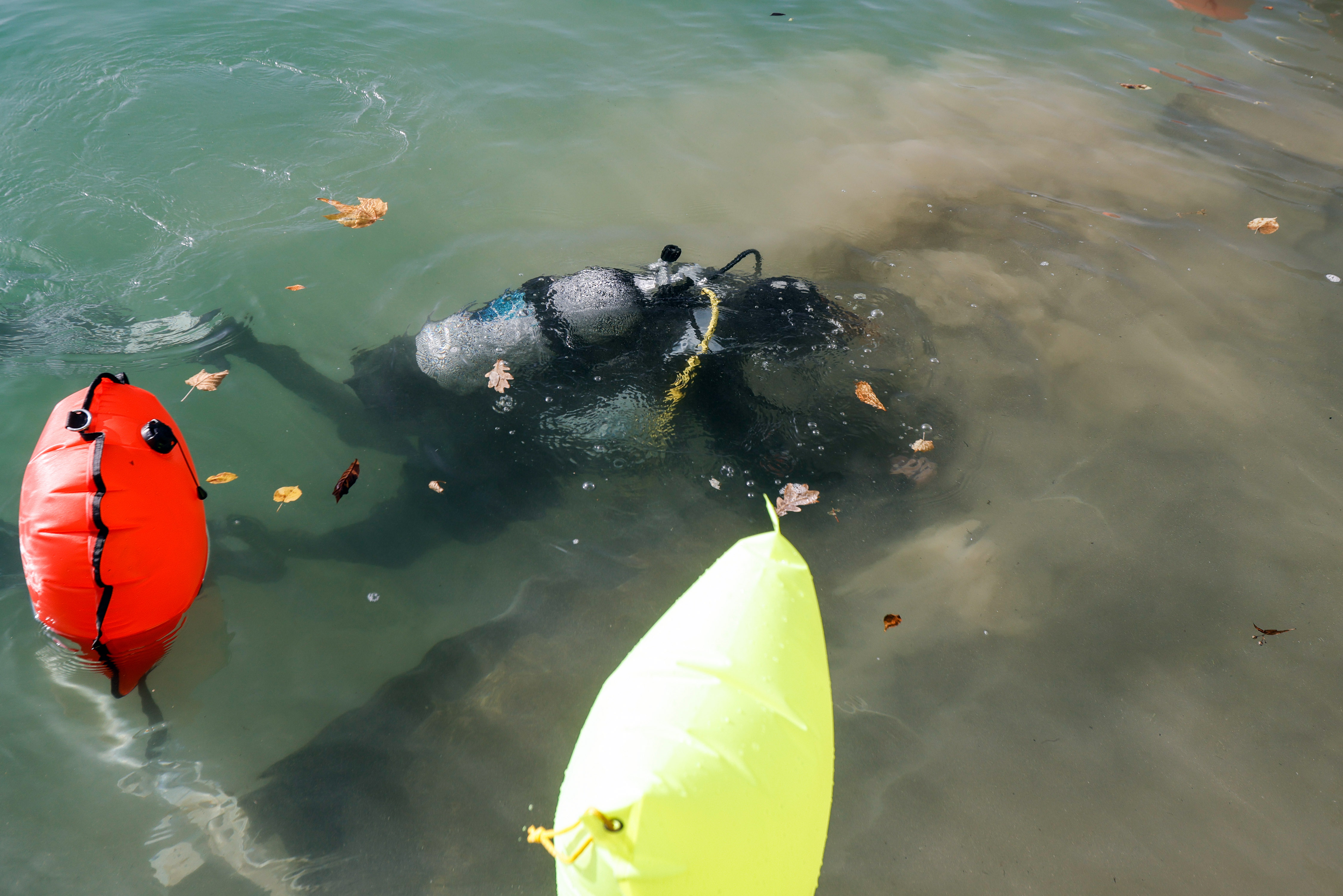 Luka Dakskobler/Bobo