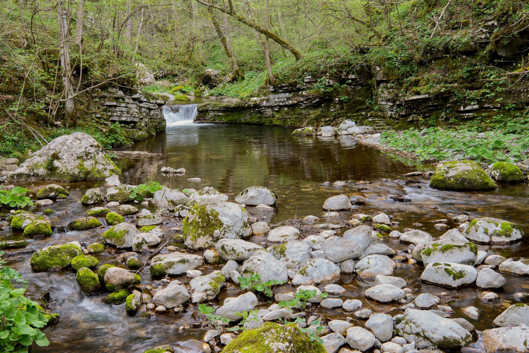 Struga potoka Kozjak (Vir: PROFIMEDIA)
