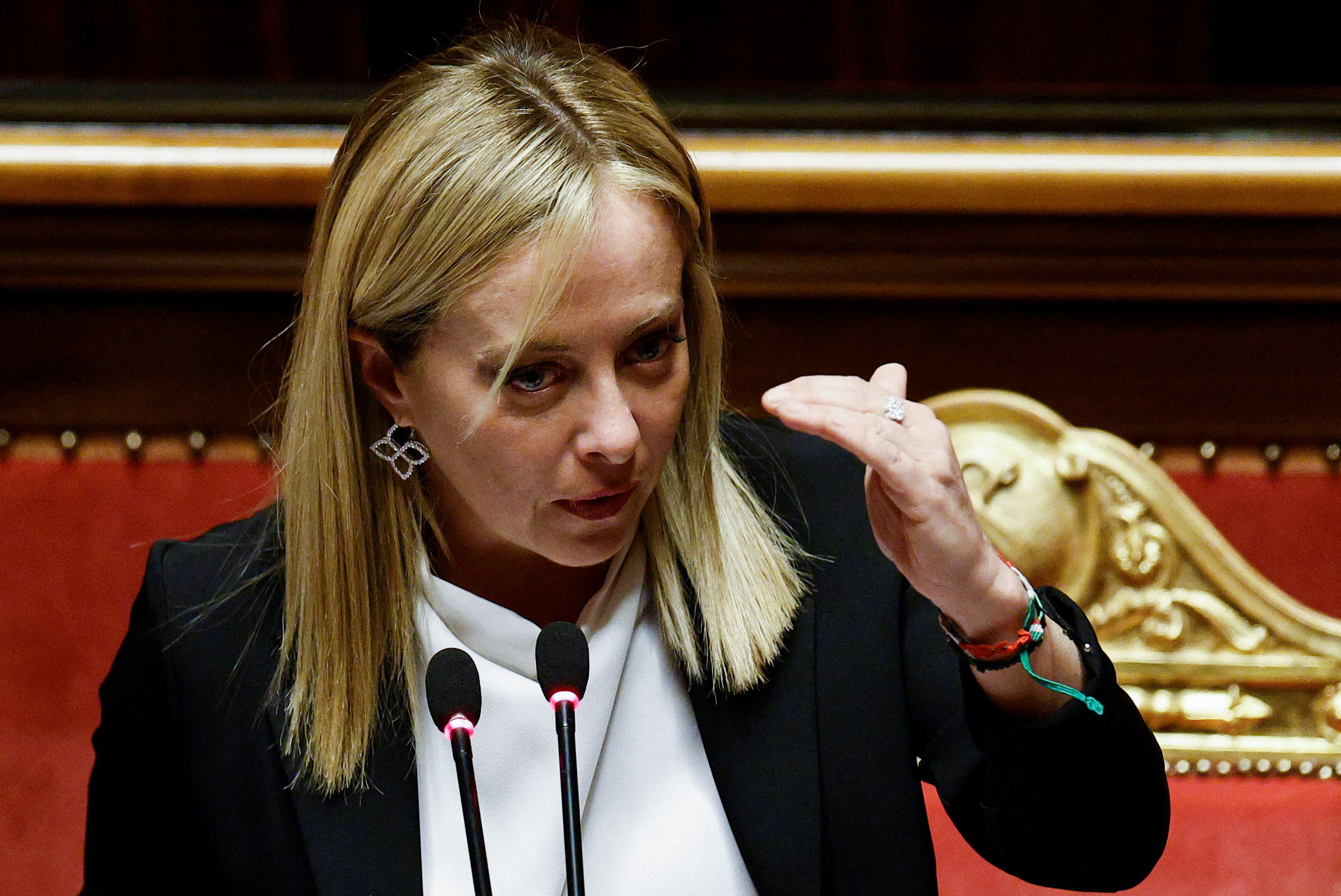 Giorgia meloni, senat