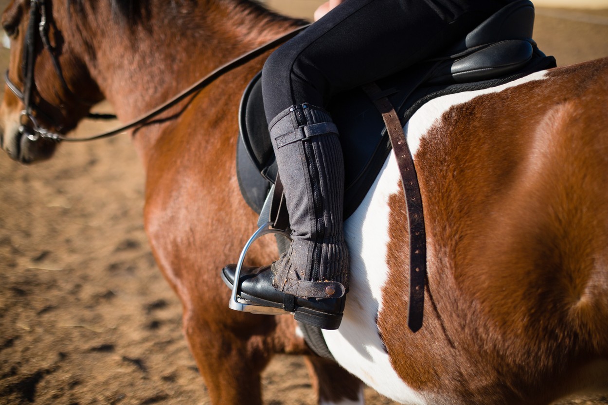 Boy riding a horse in the ranch