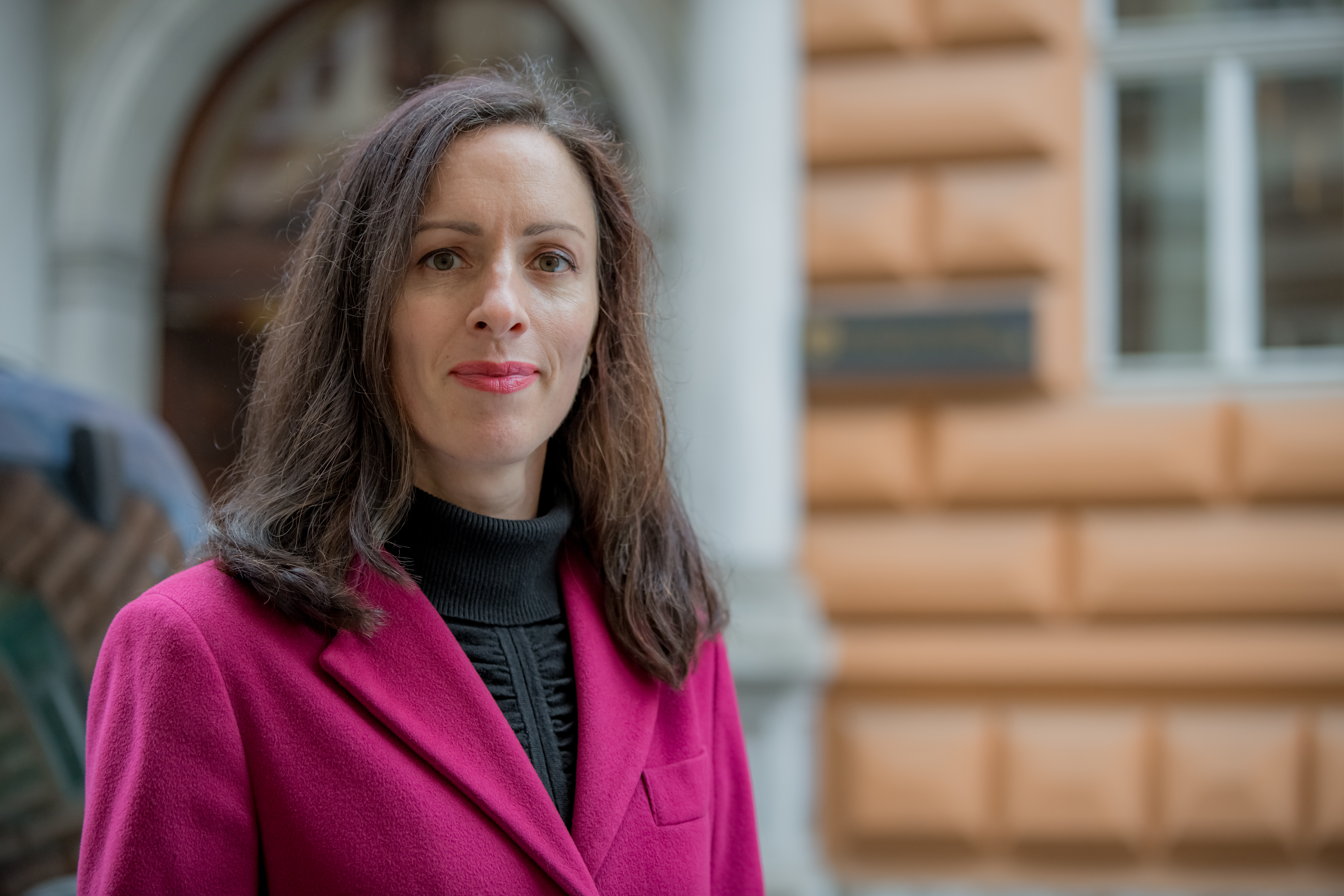 neža kogovšek šalamon ustavno