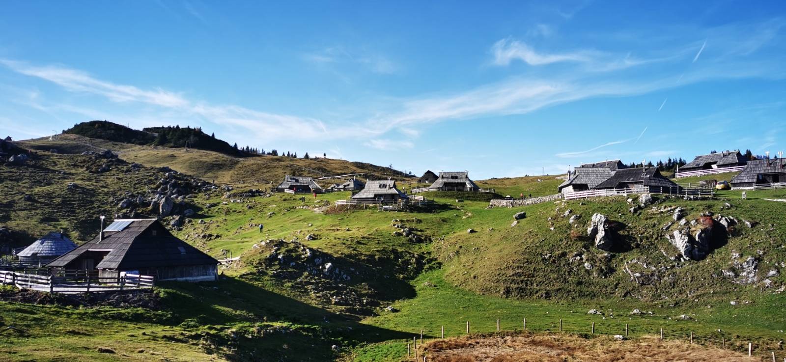 Foto: Denis Sadiković/N1