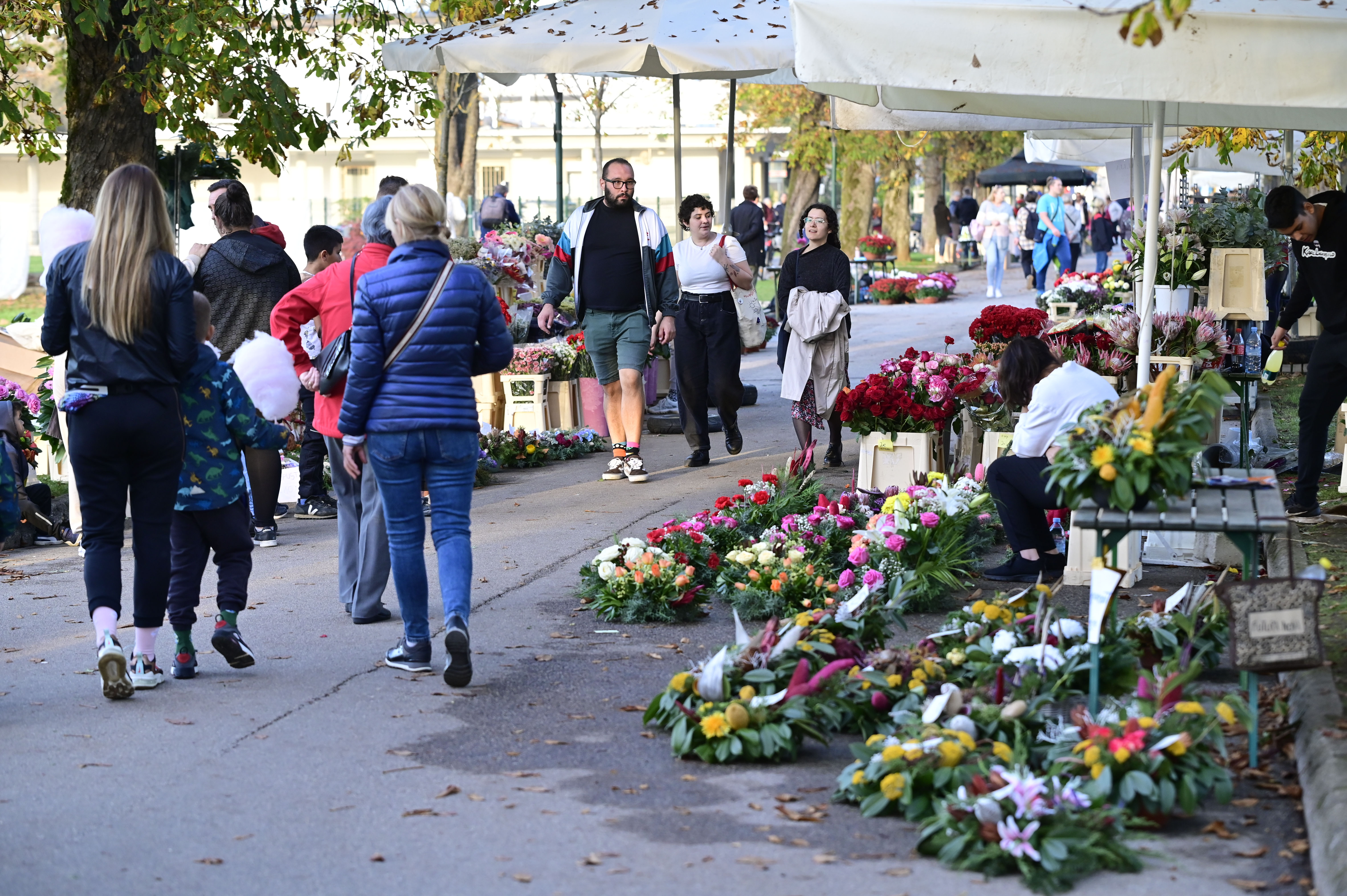 Žiga  Živulović jr. /Bobo