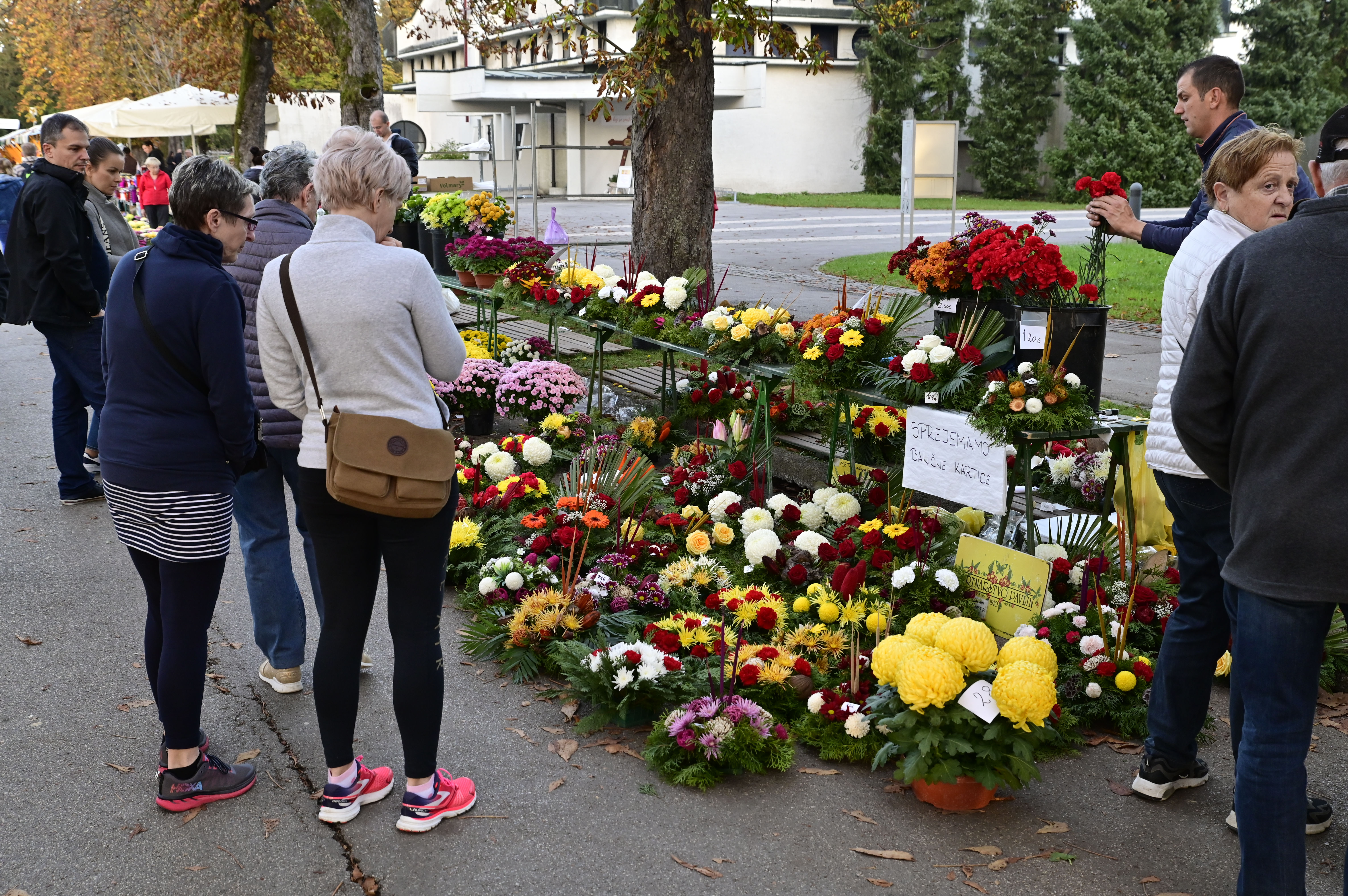 Žiga  Živulović jr. /Bobo