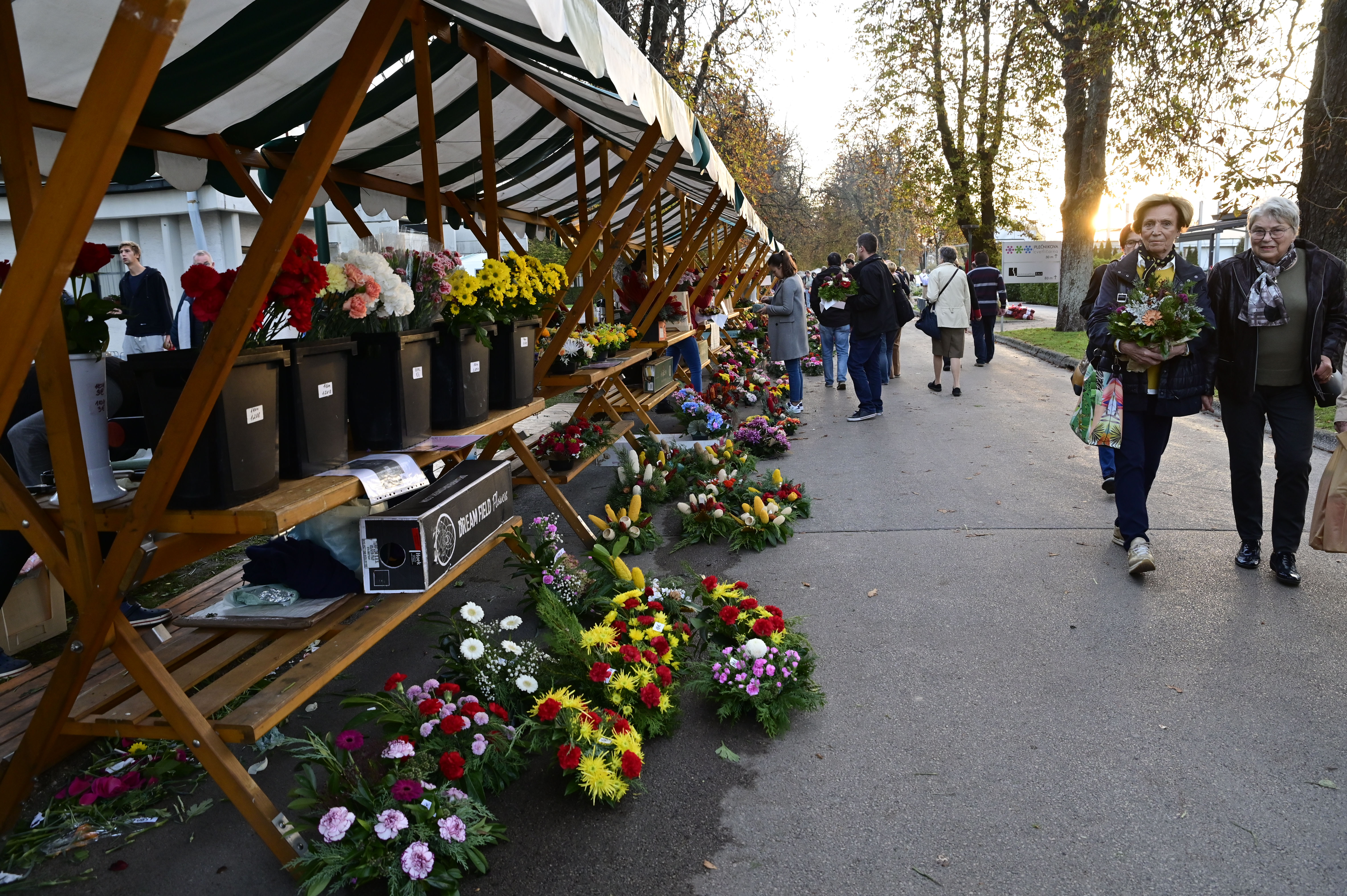 Žiga  Živulović jr. /Bobo