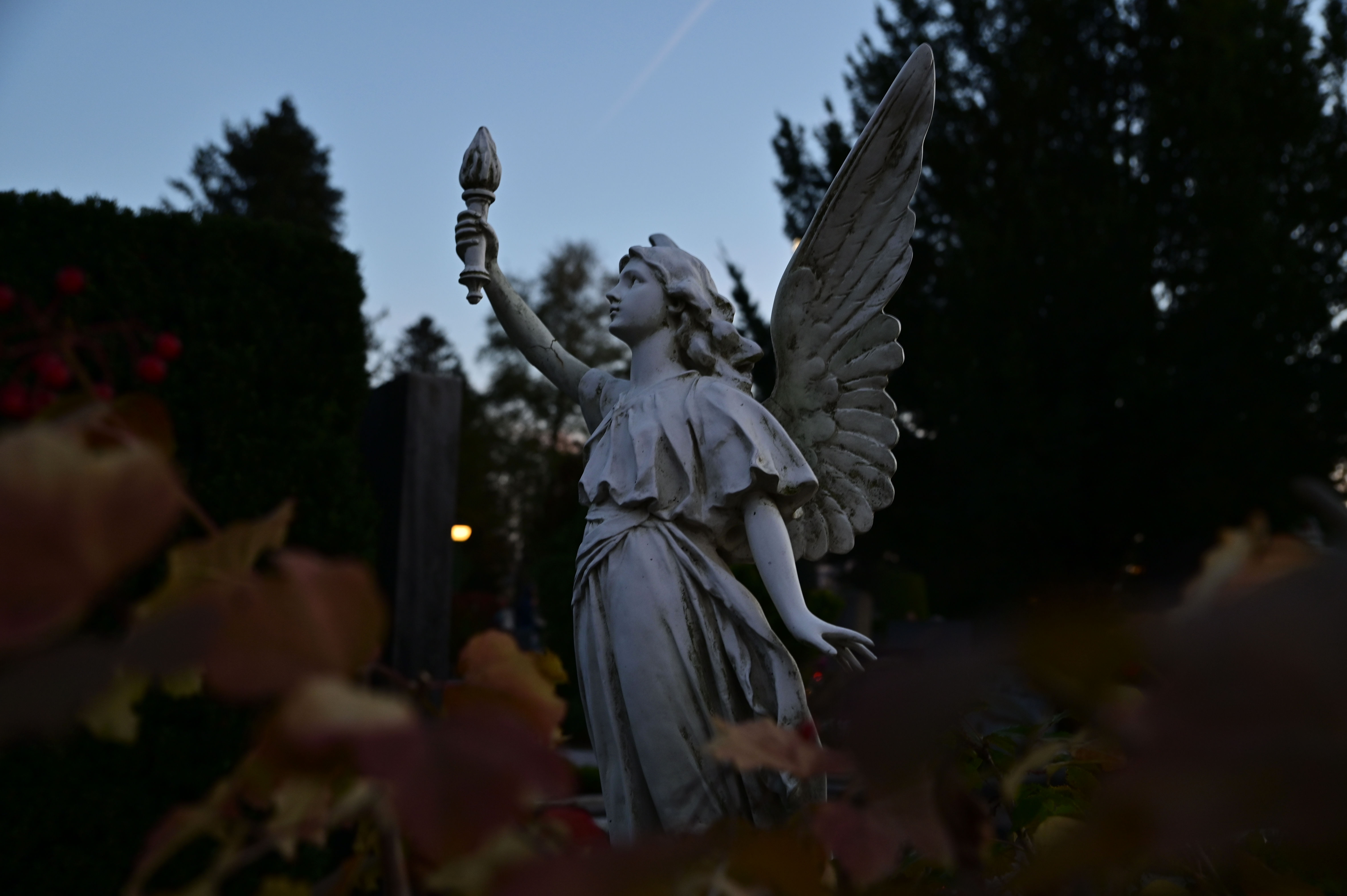 Žiga  Živulović jr. /Bobo