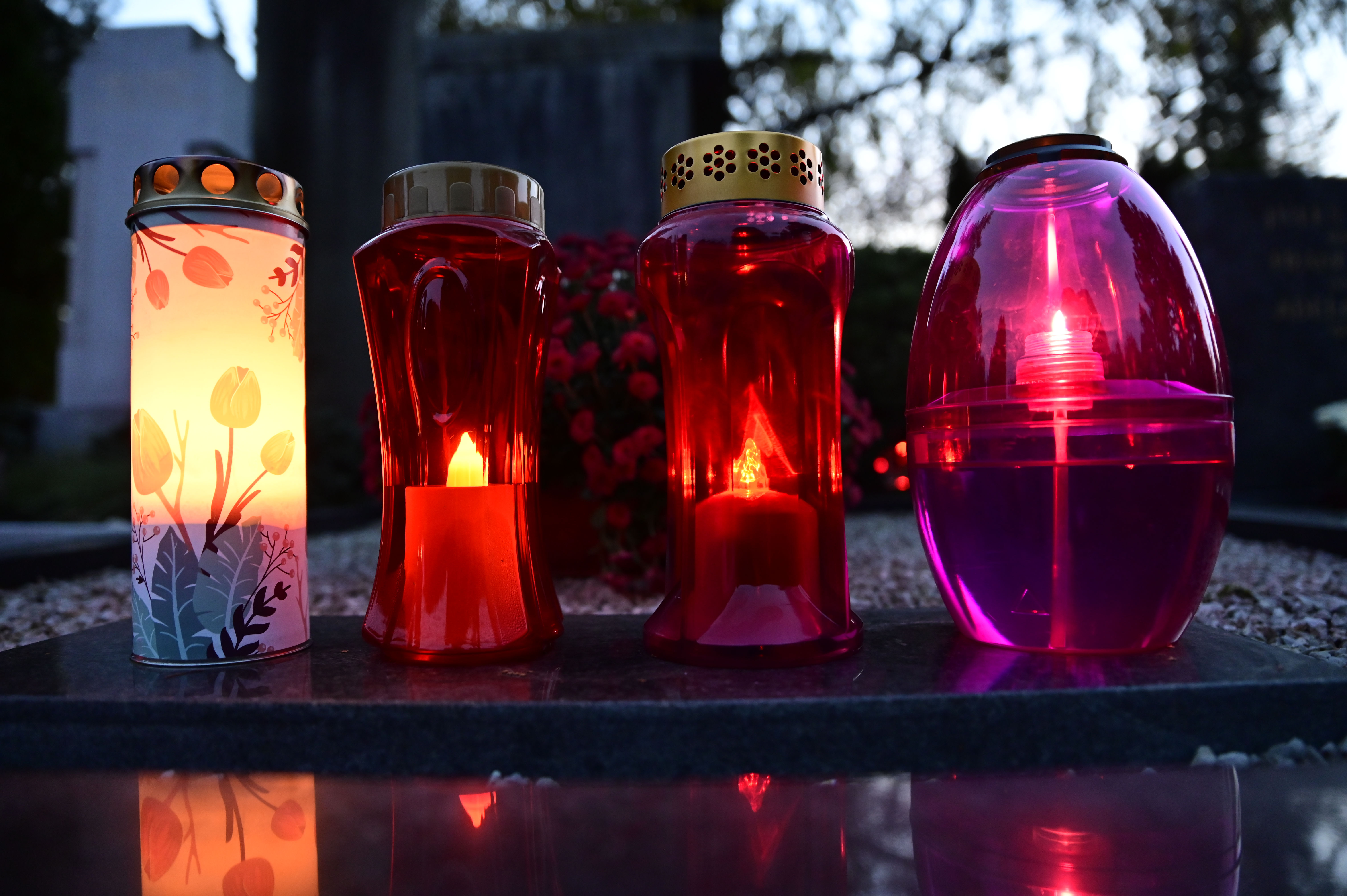 Žiga  Živulović jr. /Bobo