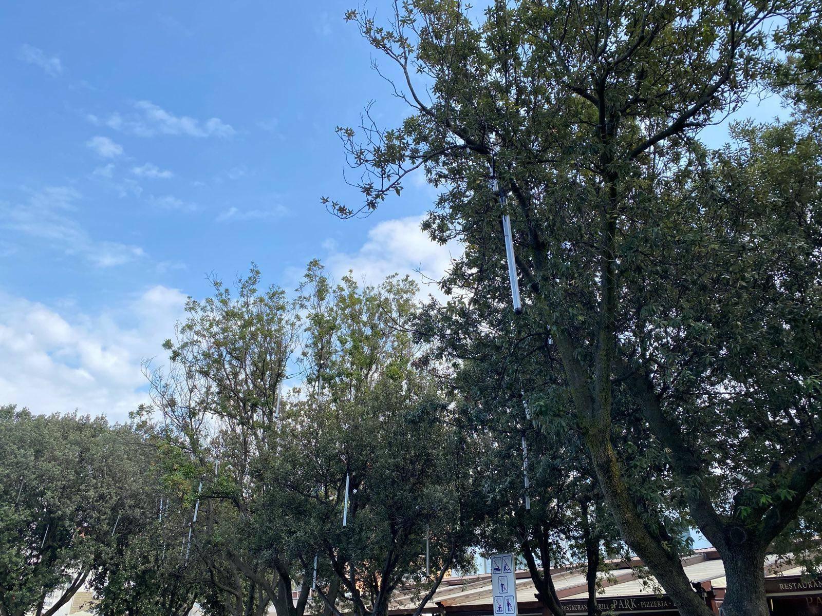 Fantazima, čudolandija, Koper, lučke v Kopru, lučke