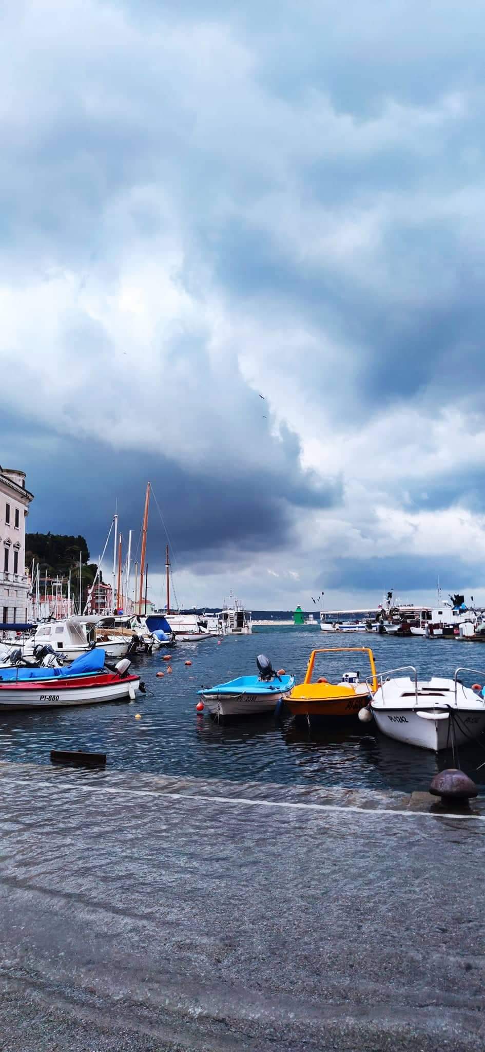 Mojca Pečnik Dessardo