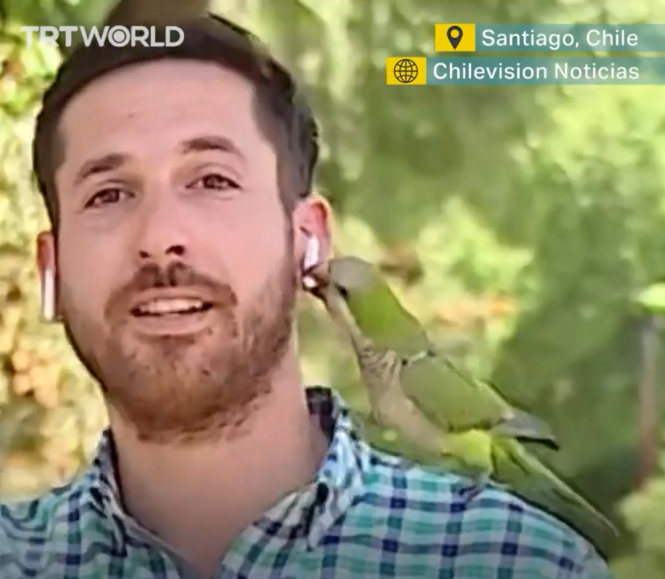 papiga oropala novinarja