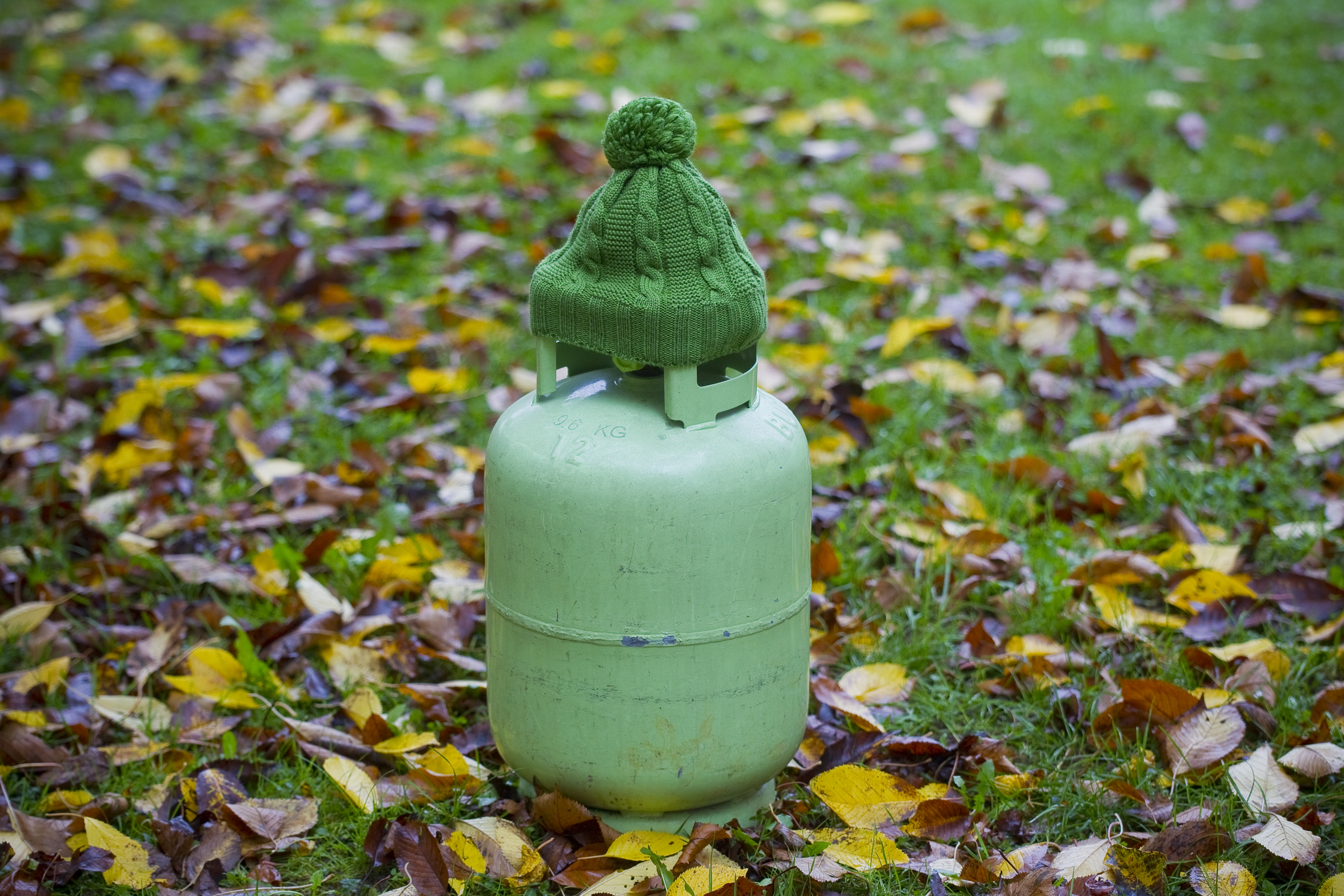 Kapica na cene plina