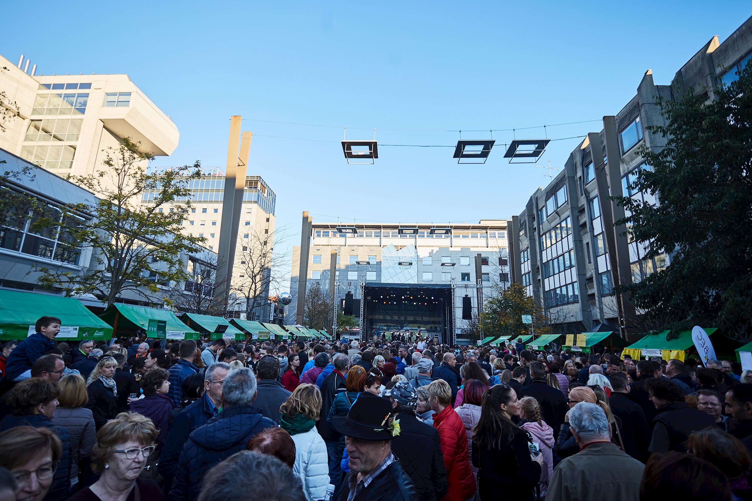 Martinovanje v Mariboru