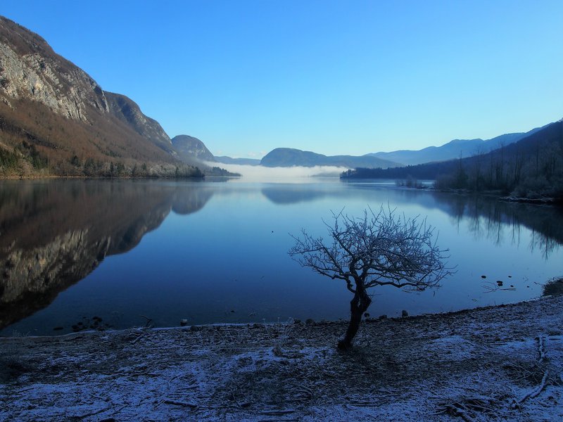 Bohinjsko jezero