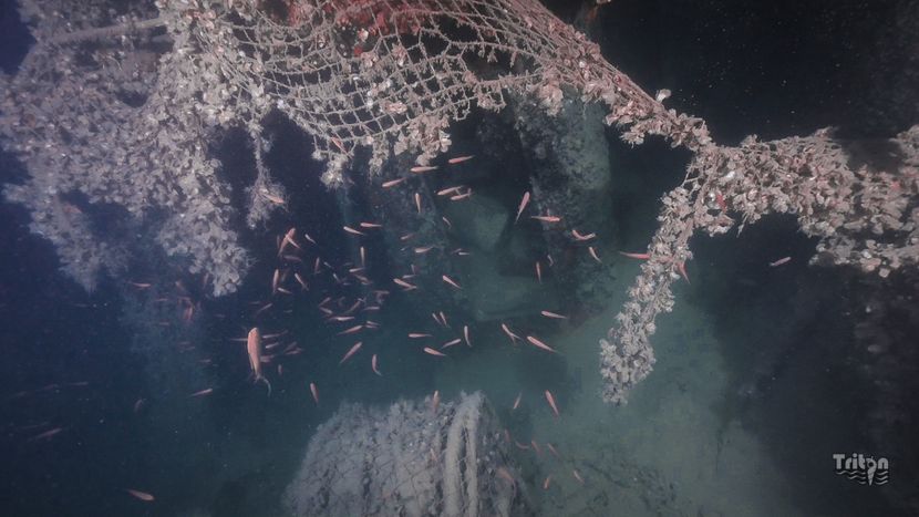 ISSA DIVING CENTER - CROATIA