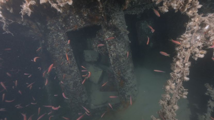 ISSA DIVING CENTER - CROATIA