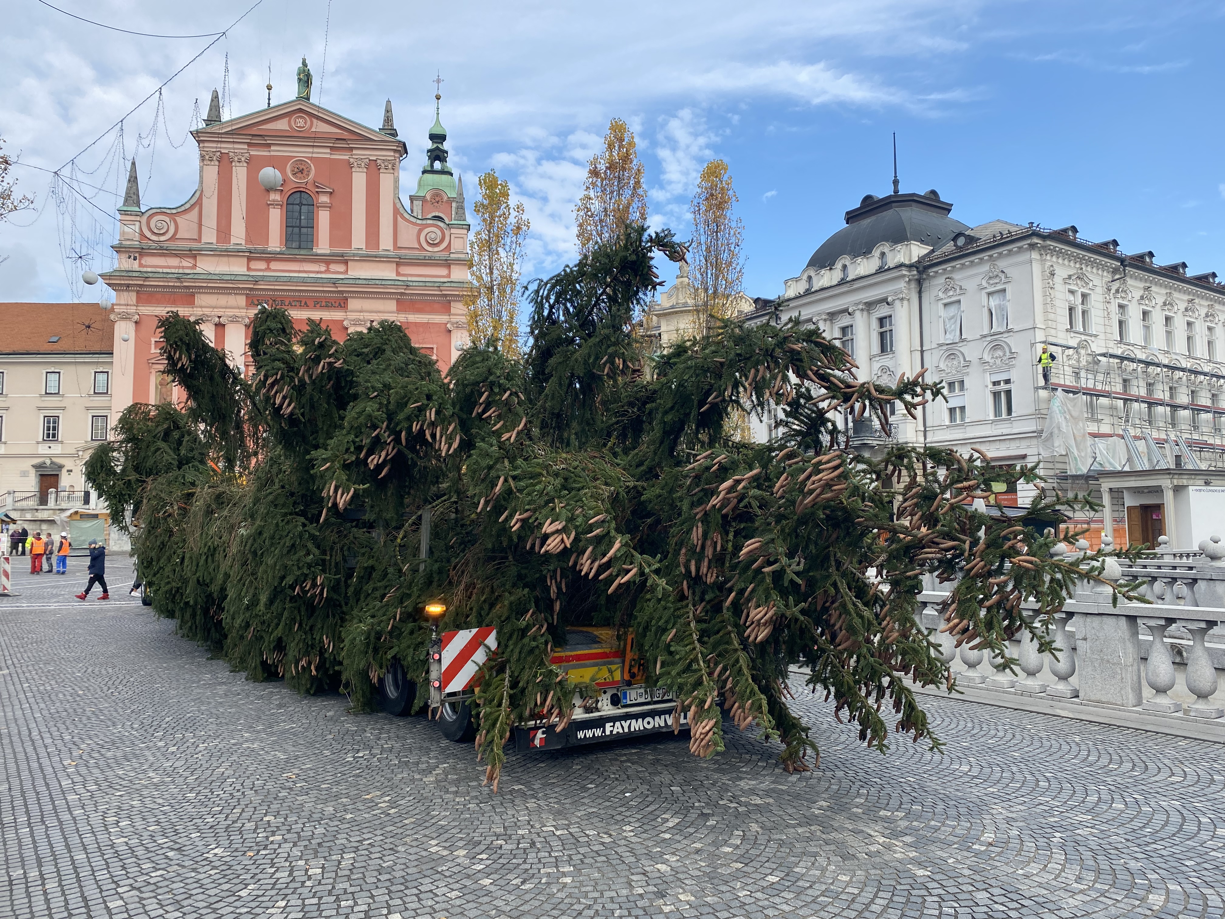 Božična smreka na Prešernovem trgu