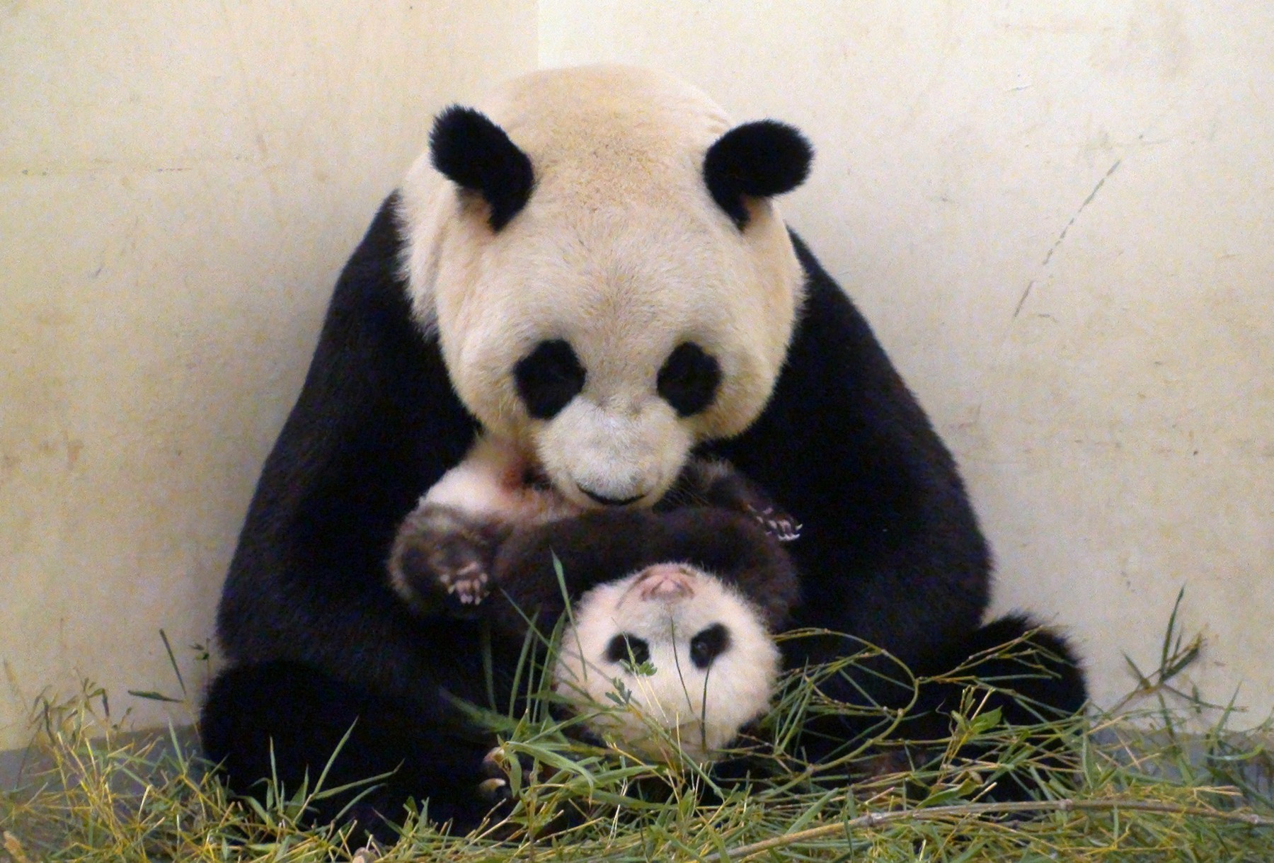 profimedia-0173029113