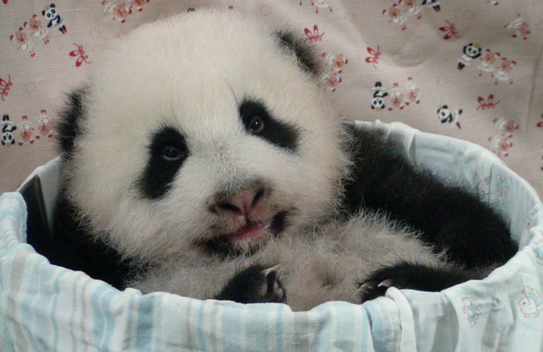 profimedia-0172108399