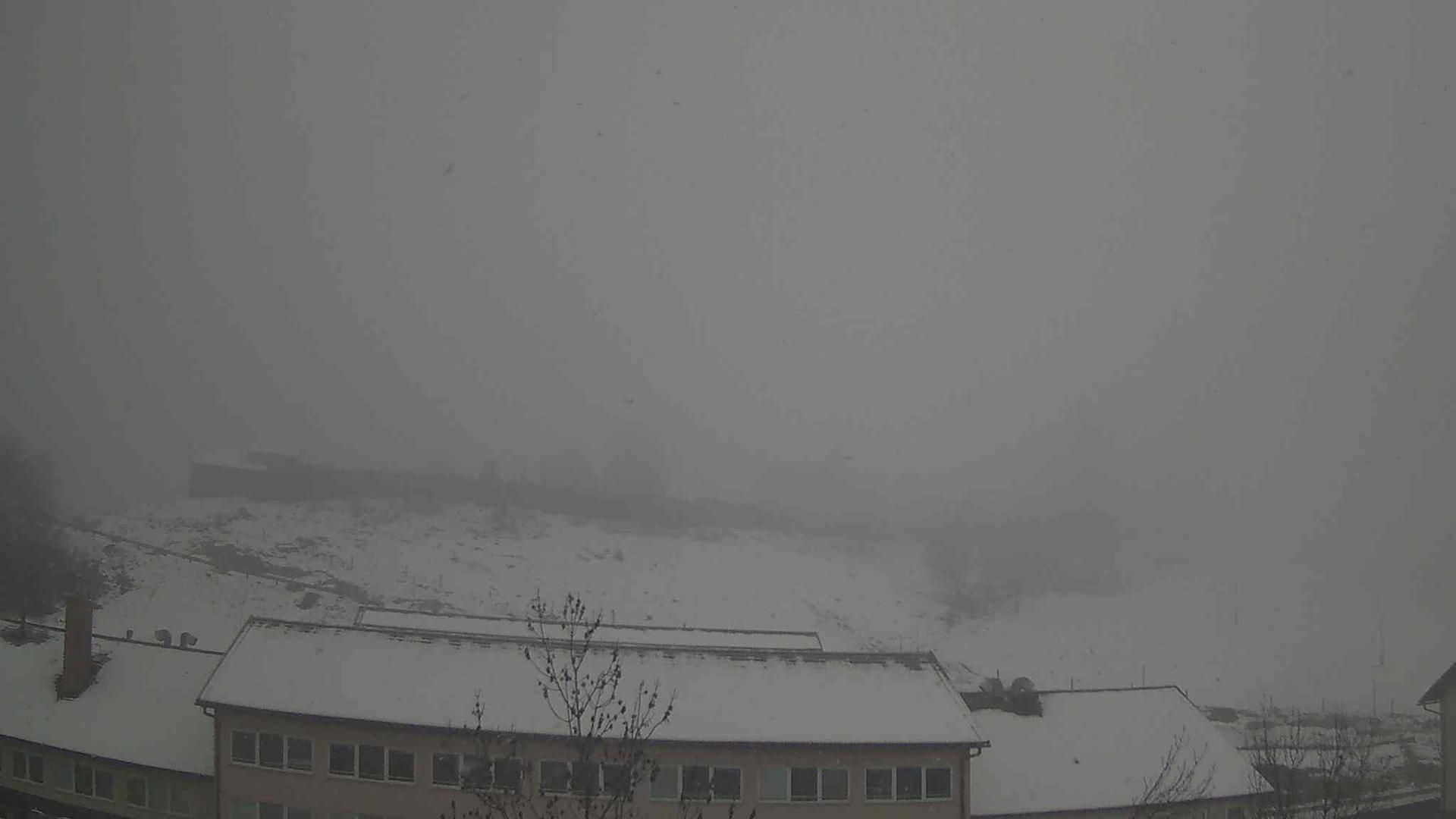 Ribnica (Foto: spletna kamera)