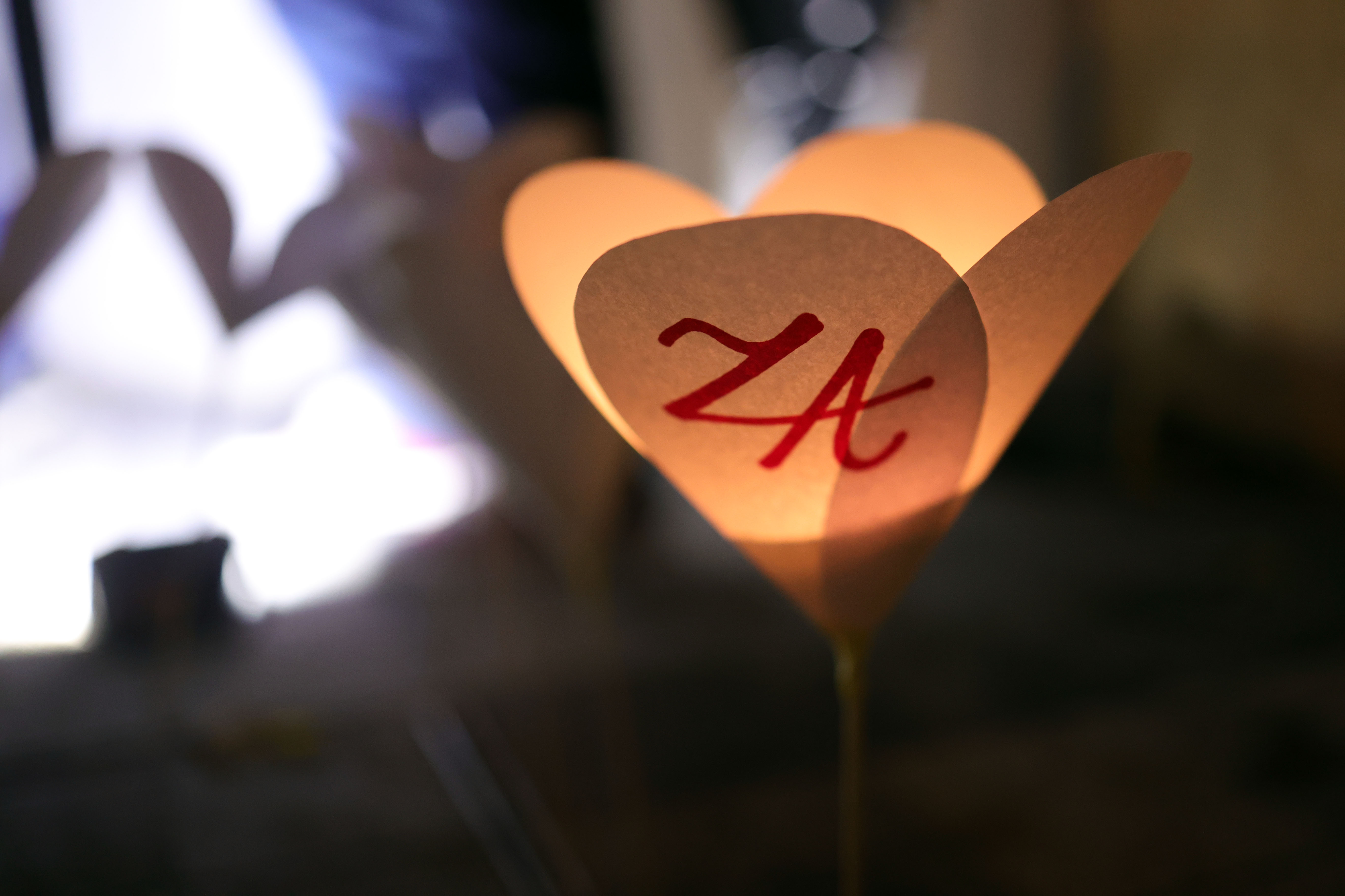 Borut Živulovič/Bobo