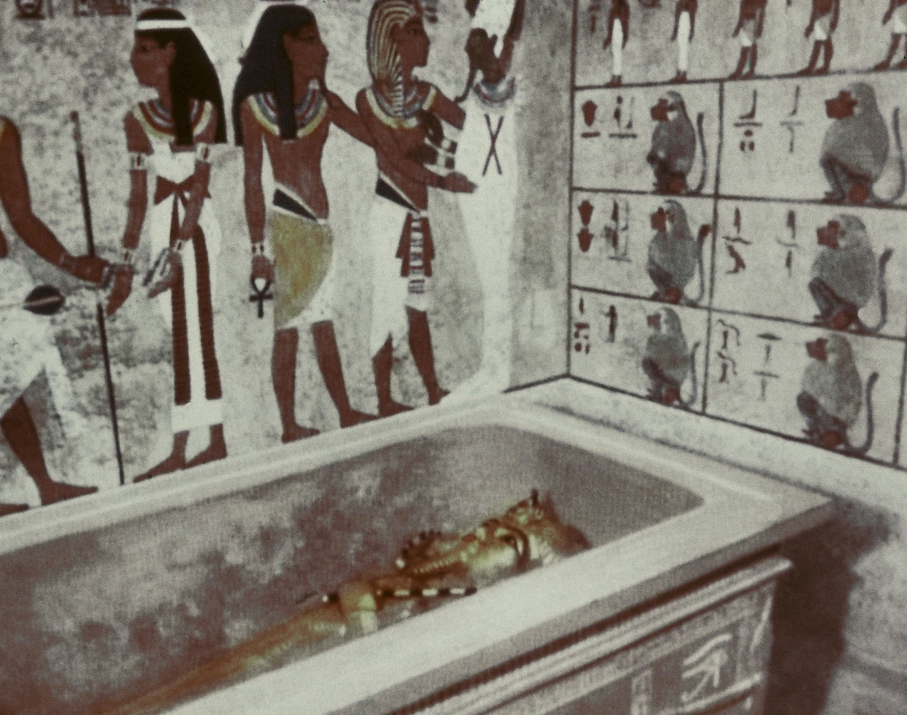 profimedia-0137208069 (1)