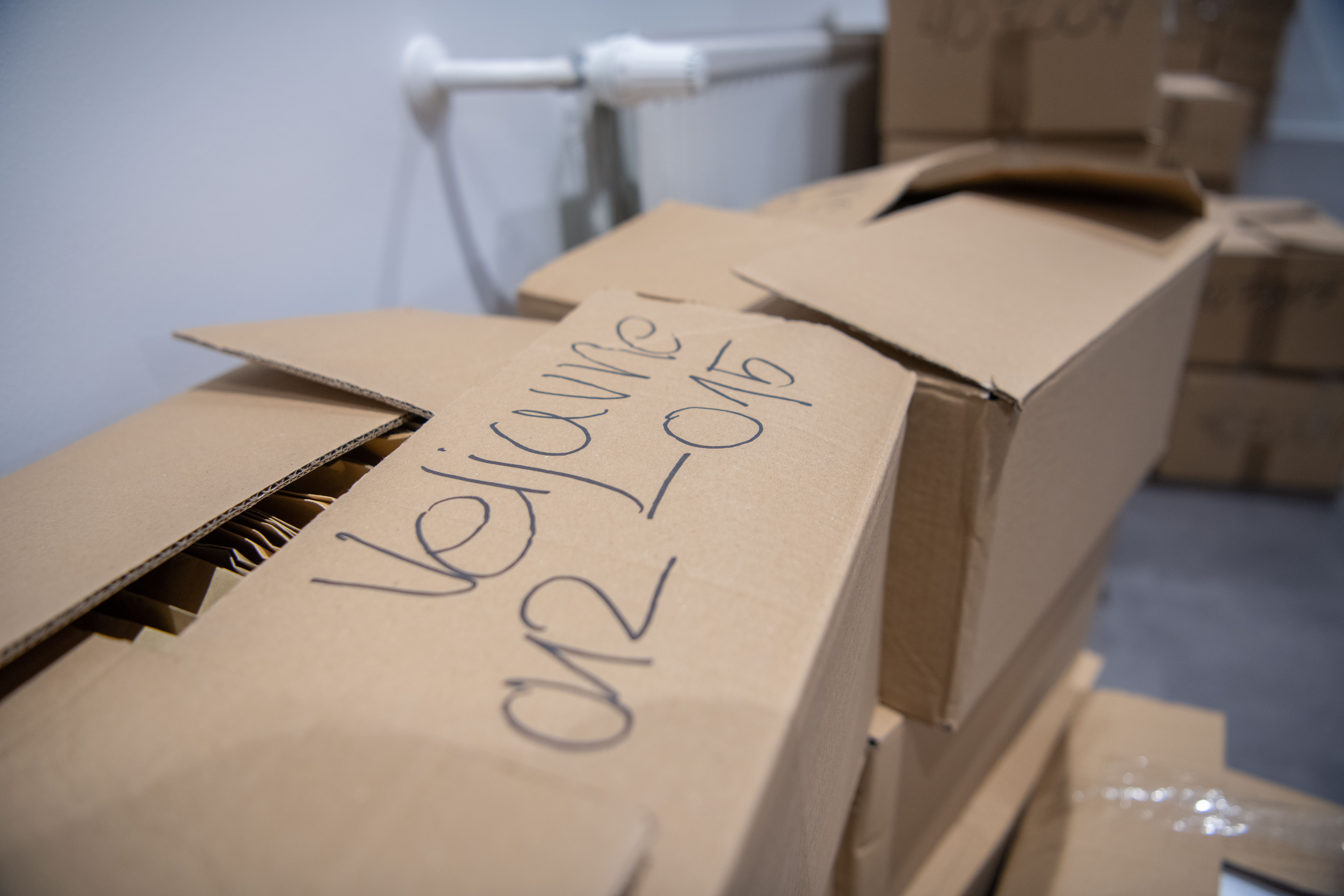 referendum, glasovnice